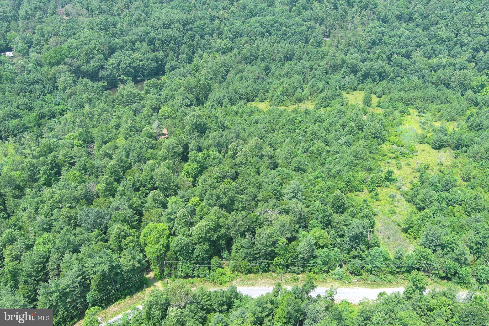 TROUT RUN FOREST - Land