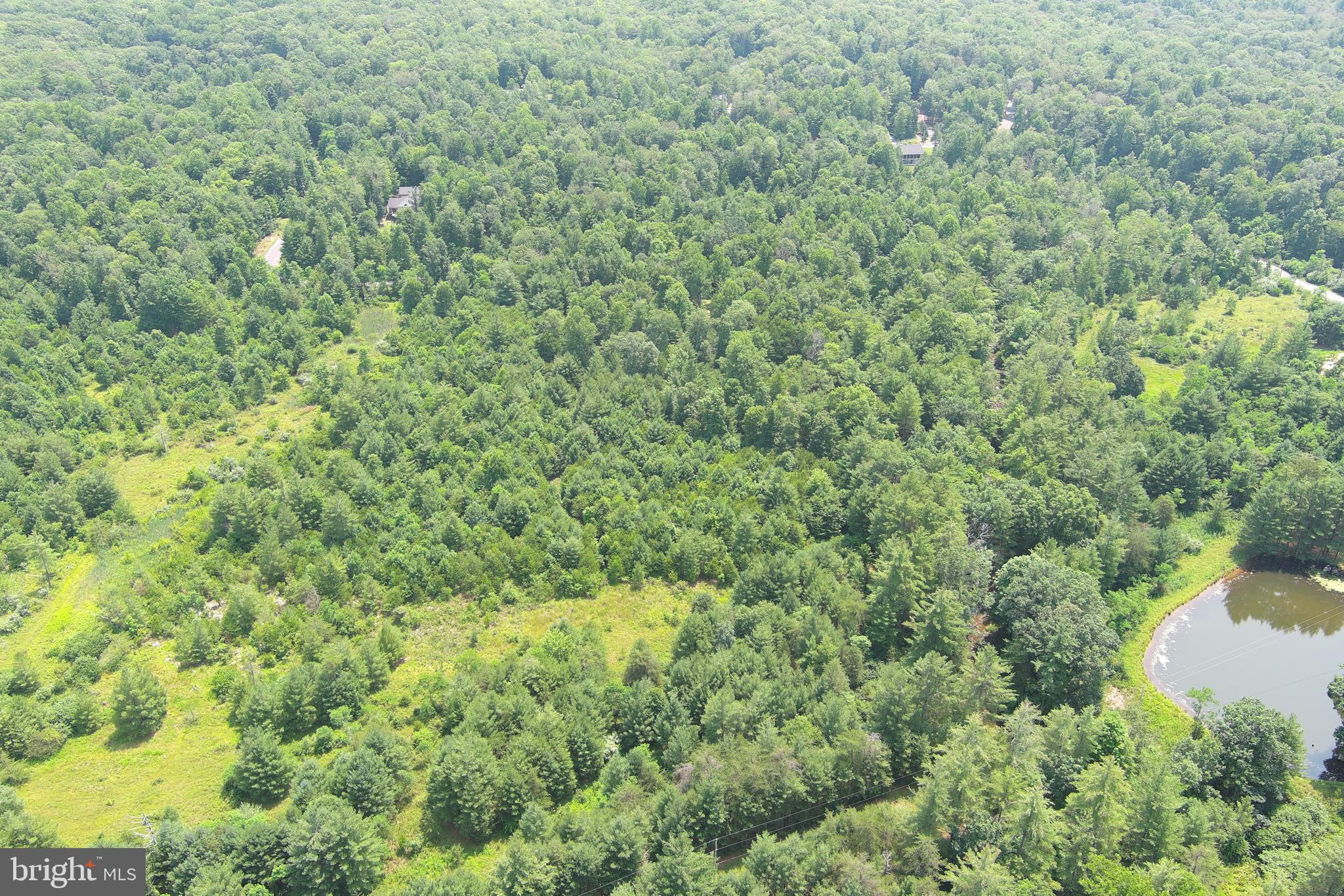 TROUT RUN FOREST - Land