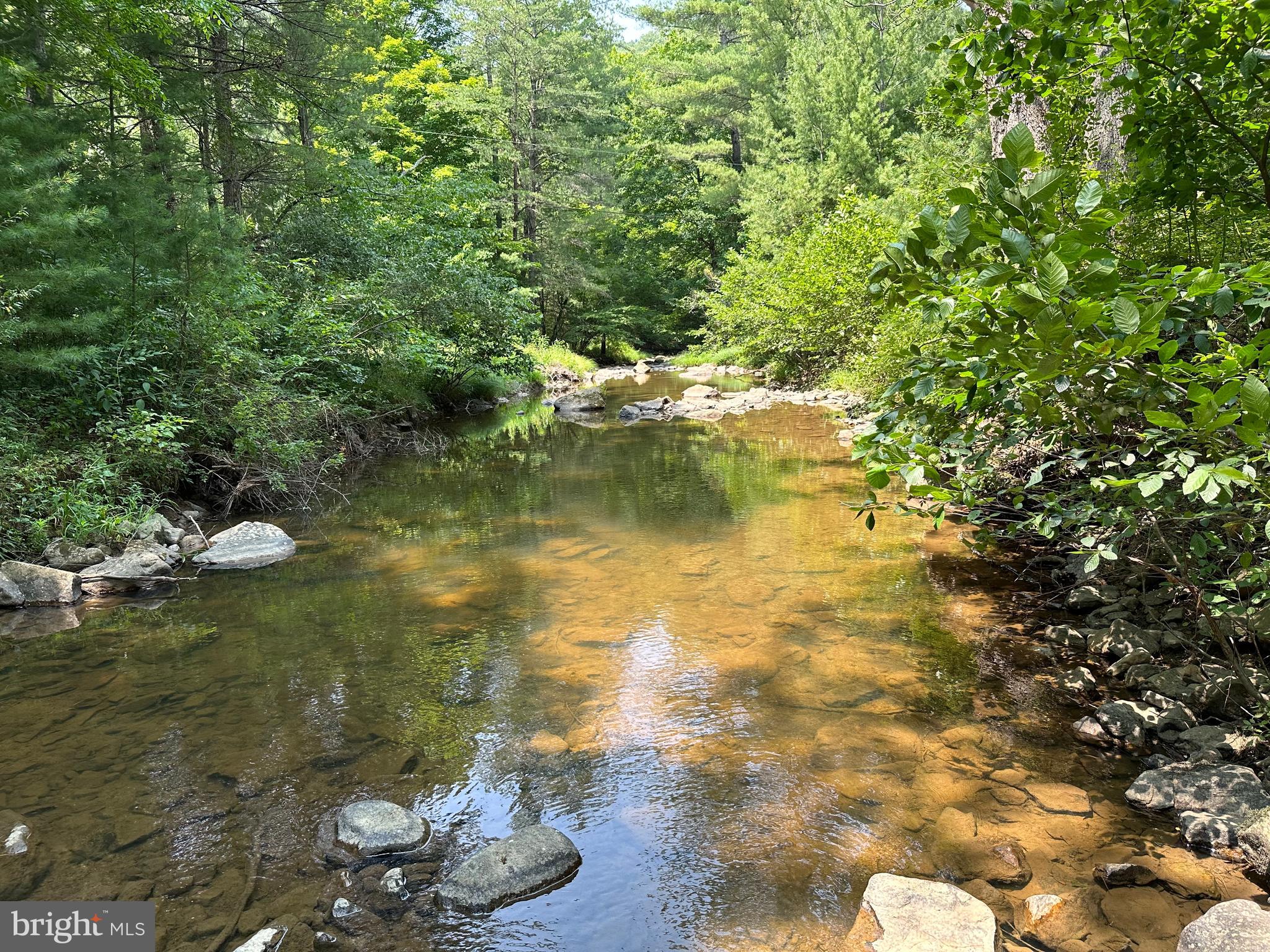 TROUT RUN FOREST - Land