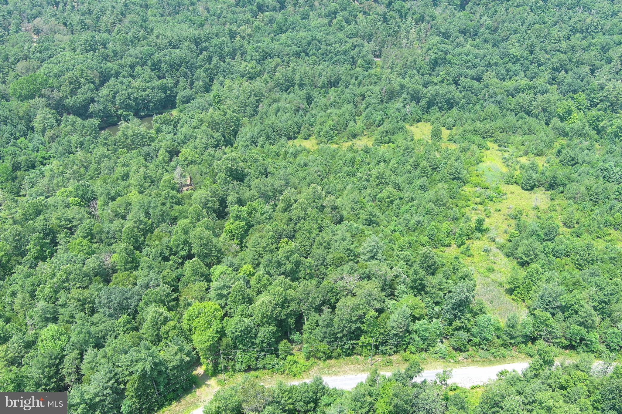 TROUT RUN FOREST - Land