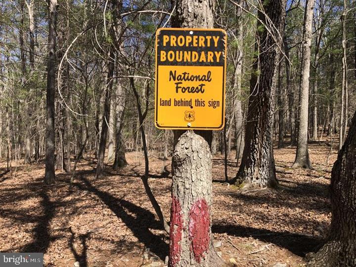 TROUT RUN FOREST - Land