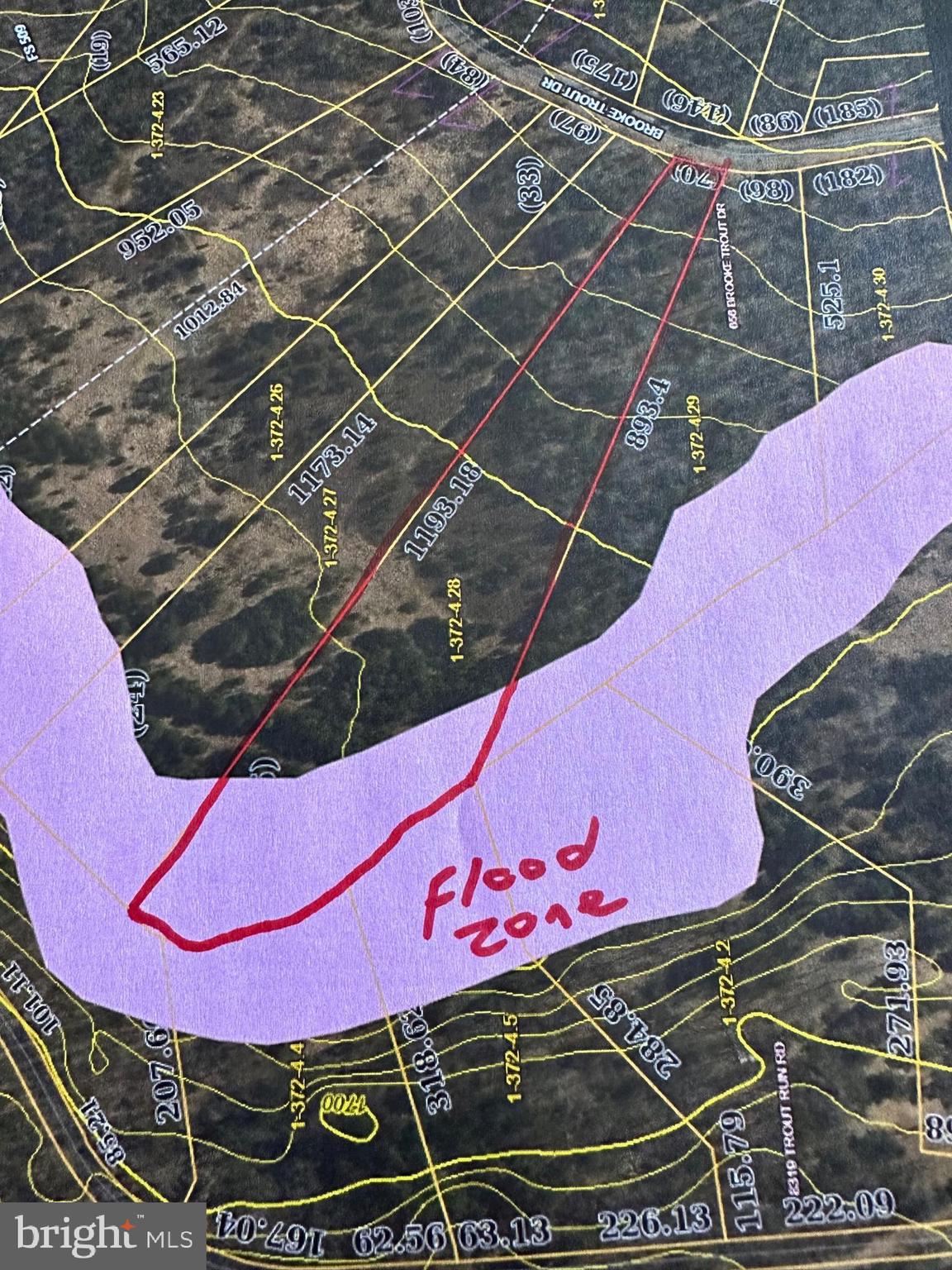 TROUT RUN FOREST - Land