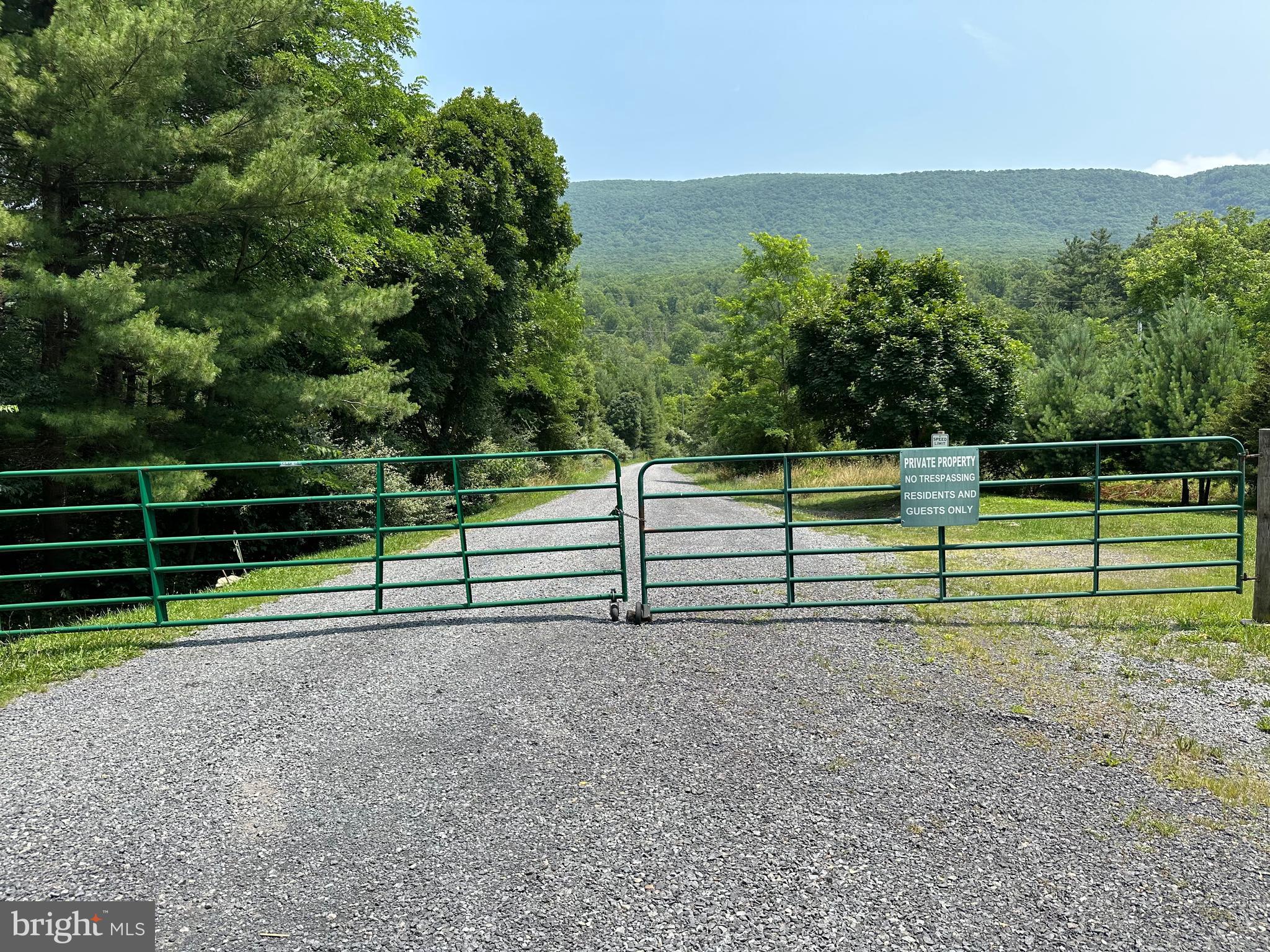 TROUT RUN FOREST - Land
