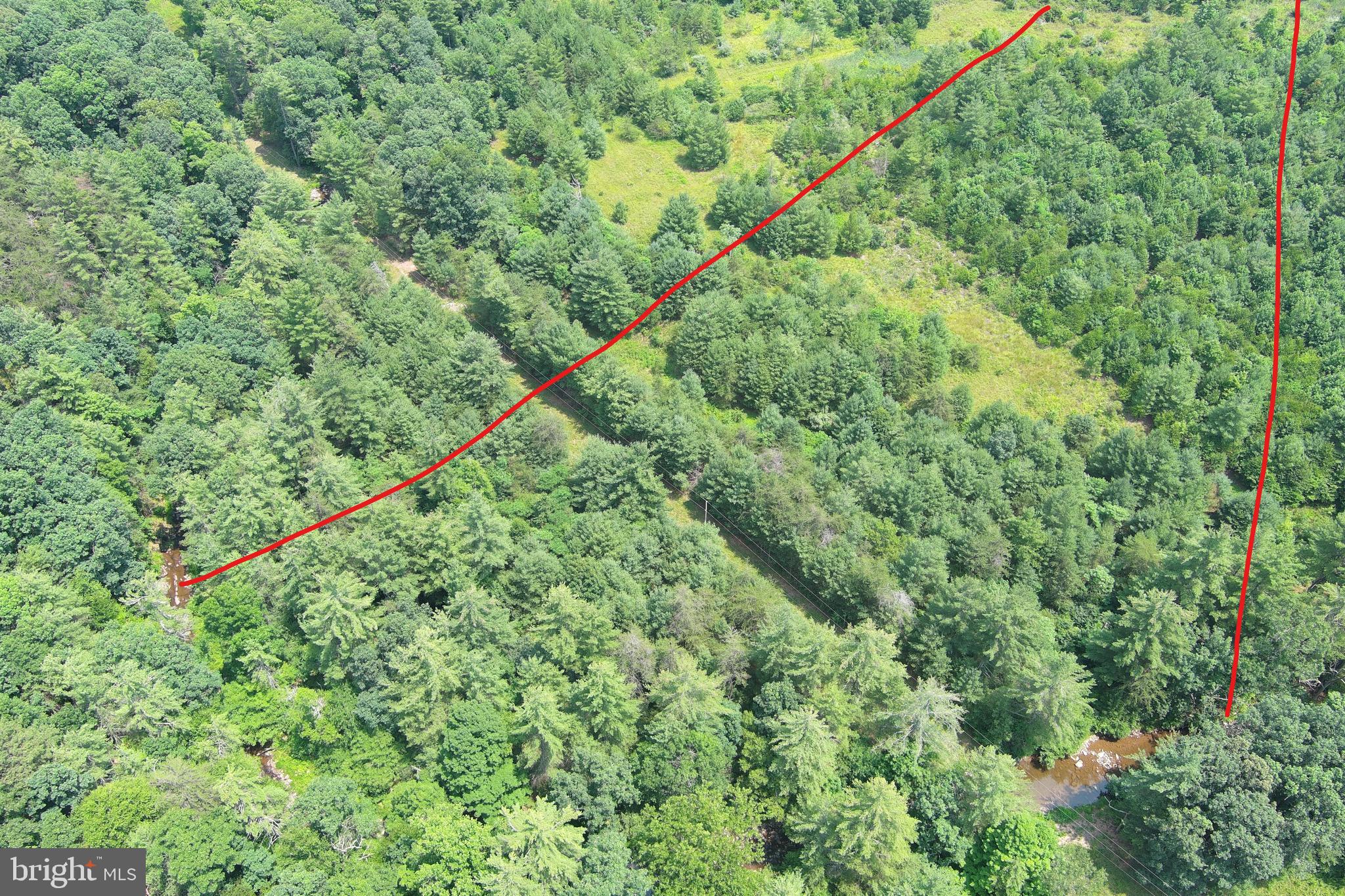 TROUT RUN FOREST - Land