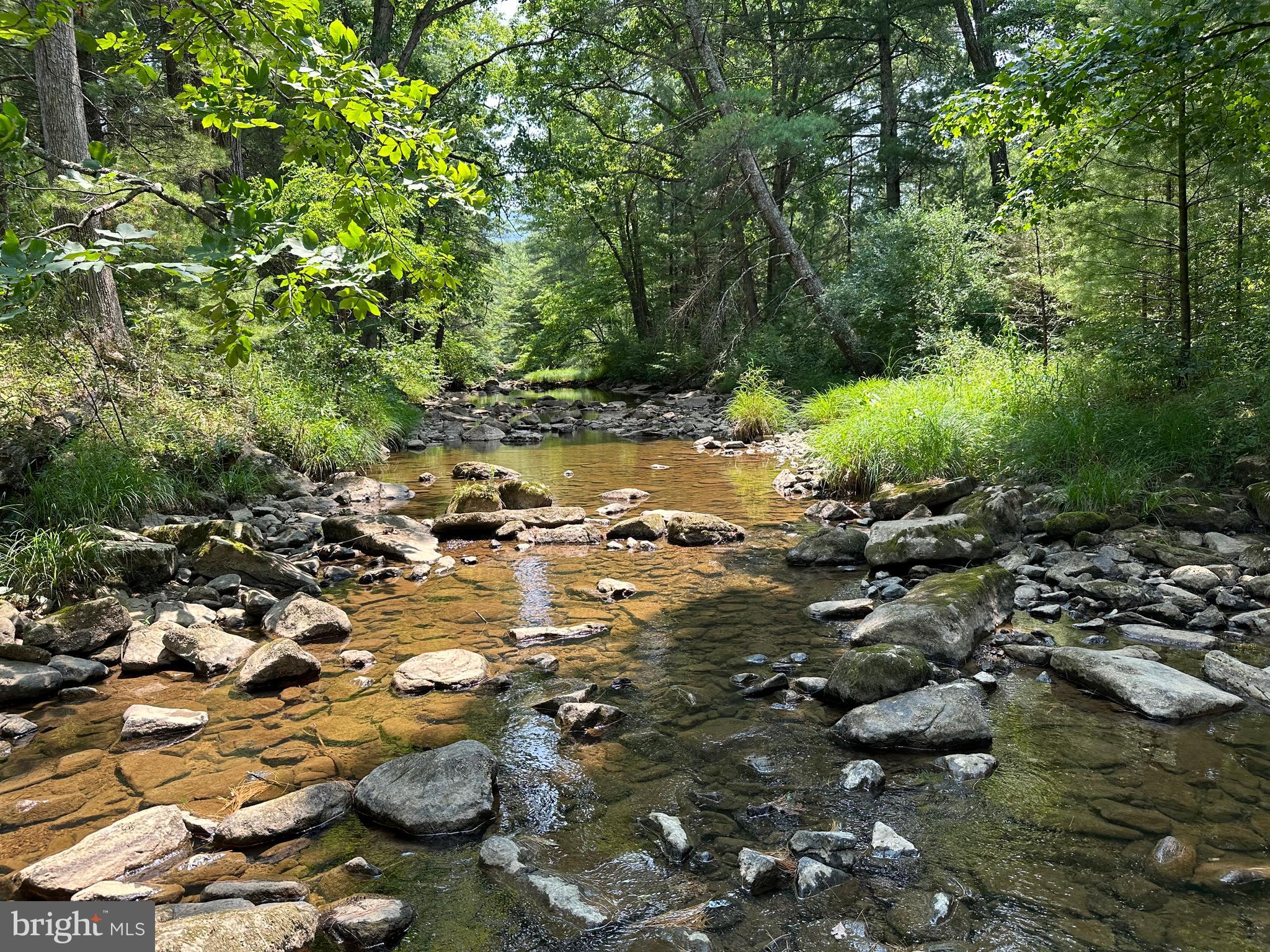 TROUT RUN FOREST - Land
