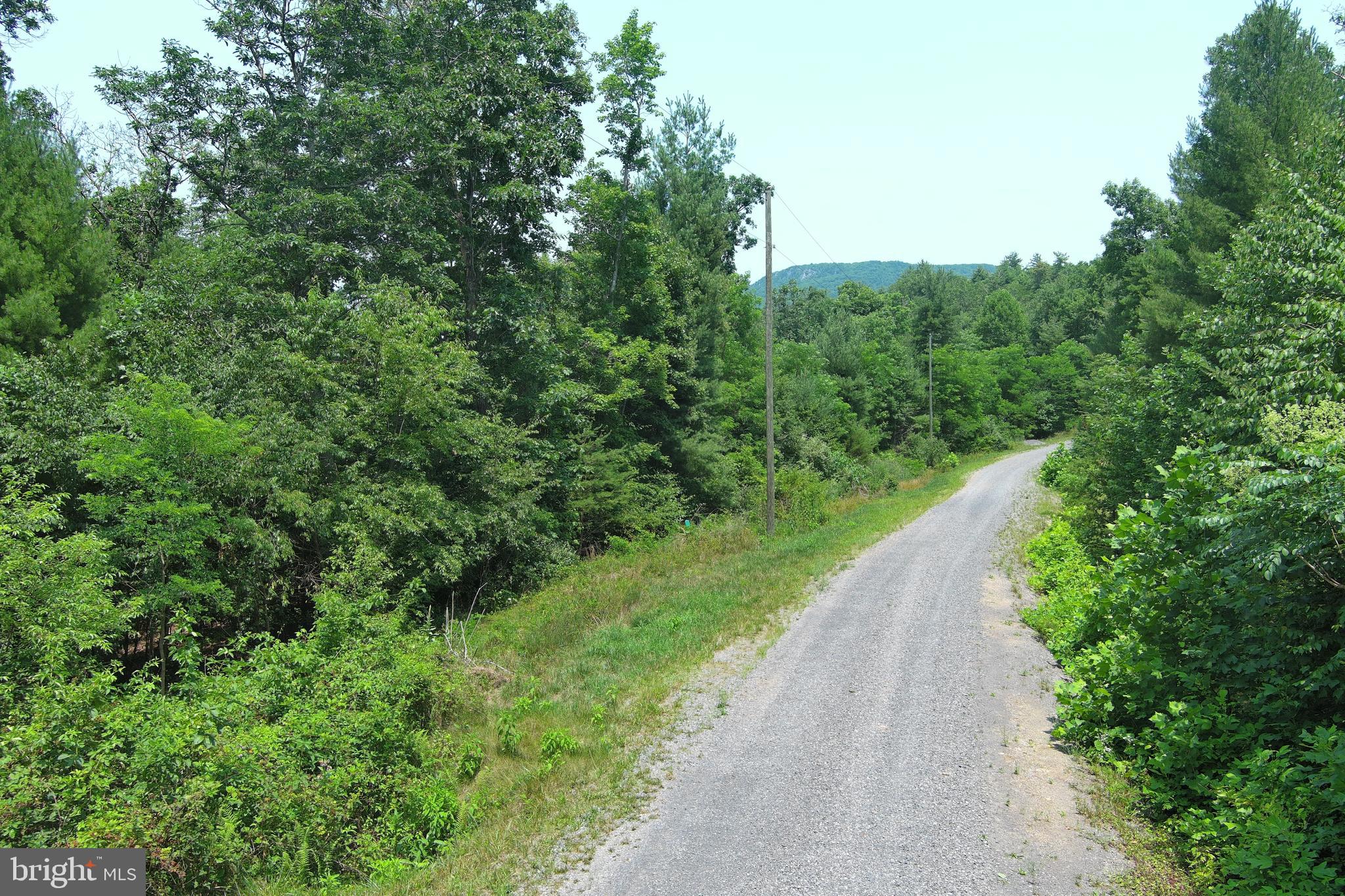 TROUT RUN FOREST - Land