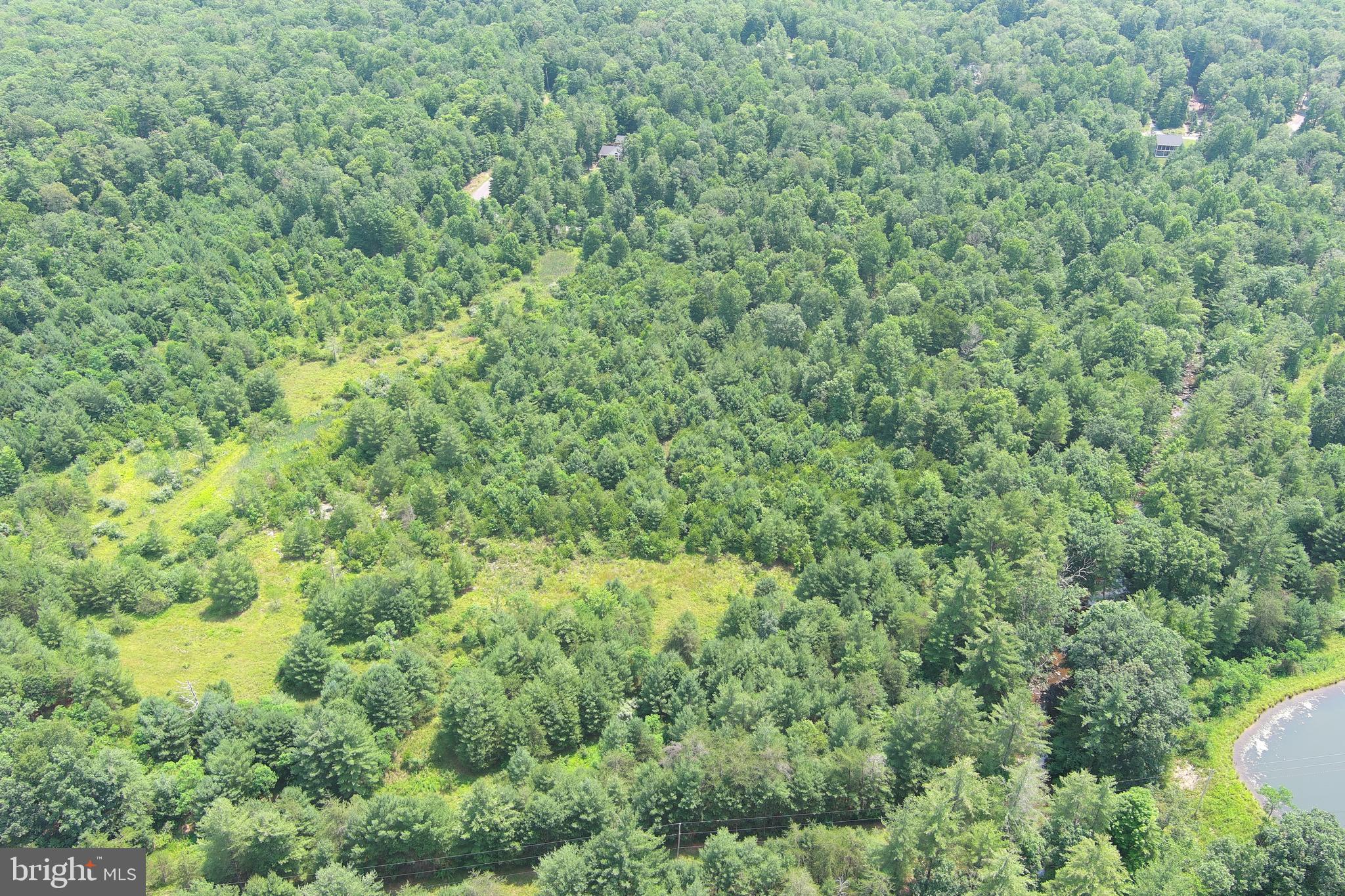 TROUT RUN FOREST - Land