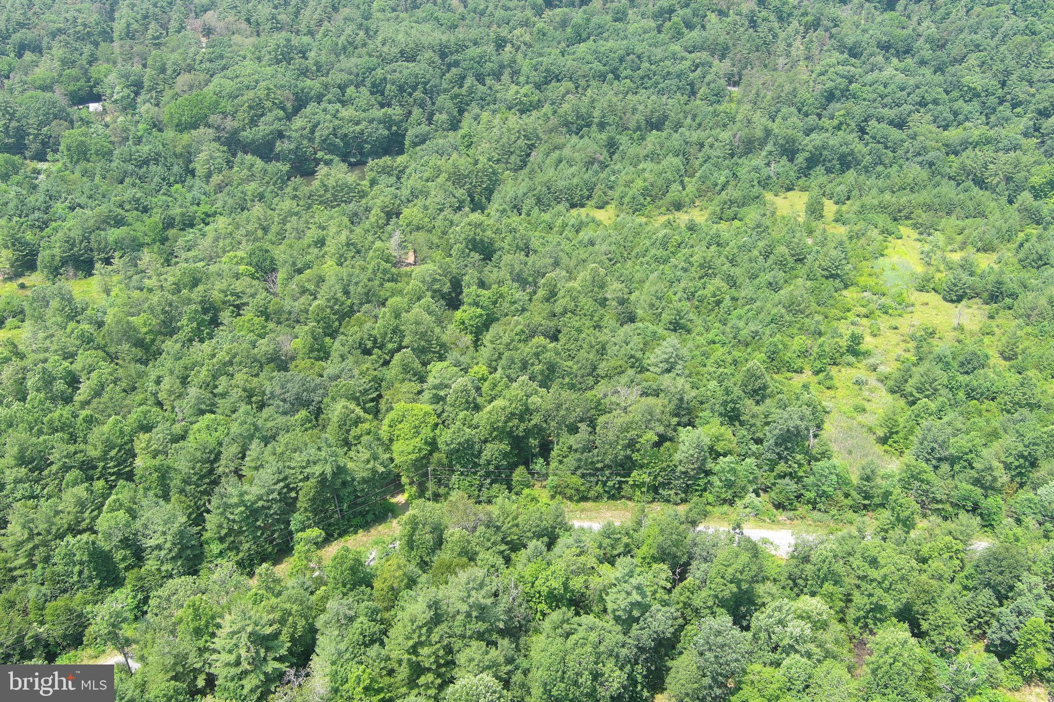 TROUT RUN FOREST - Land