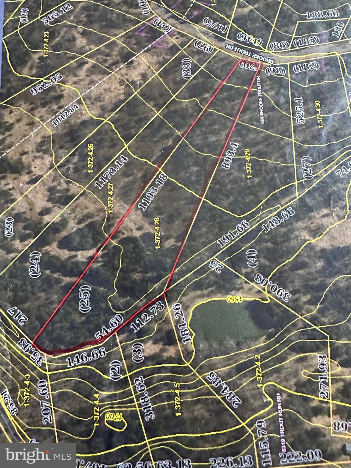 TROUT RUN FOREST - Land