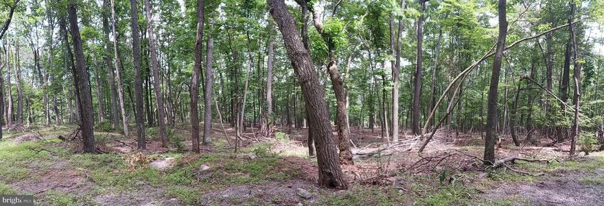 Beautiful, level wooded lot on 2.050 acres perfect for building that mountain getaway you’ve always dreamed of! Perc on file! Well installed! Well-maintained roads. Located in gated naturist community of Somerset in Paw Paw, WV. Annual memberships are available for access to adjacent year-round Avalon Resort, which features vacation condos, cabins, an aquatics center, as well as camping, tennis and hiking trails. Just two hours from DC area, 40 minutes from fabulous shopping and restaurants in Winchester, VA, and 30 minutes to the spas, shops, and restaurants of historic Berkeley Springs, WV. This home is part of a family-friendly clothing optional community. Come check out this unique property on Merlin Tor Drive and find out precisely why West Virginia is considered "Almost Heaven."