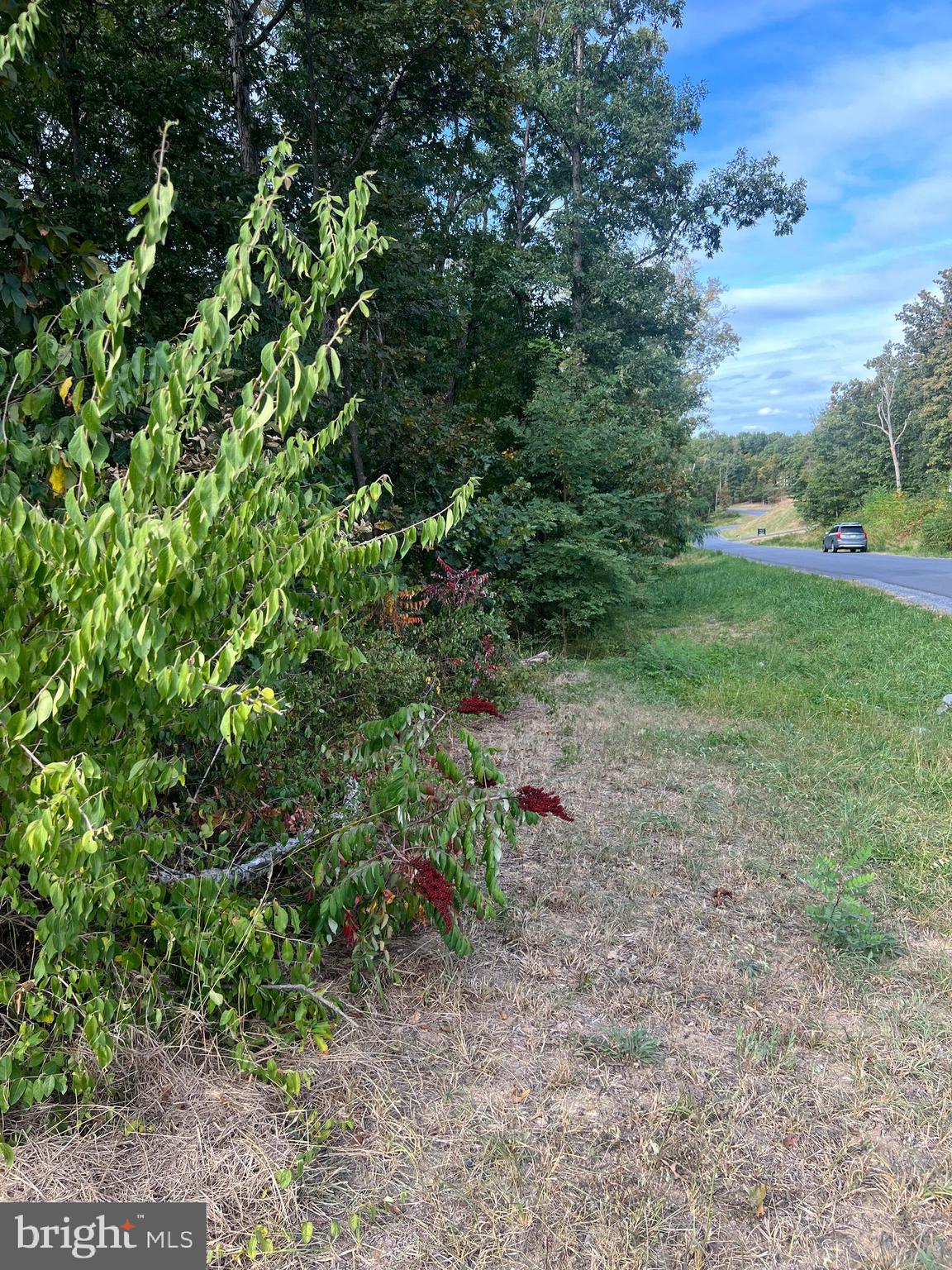 QUAIL HILL ESTATES - Land