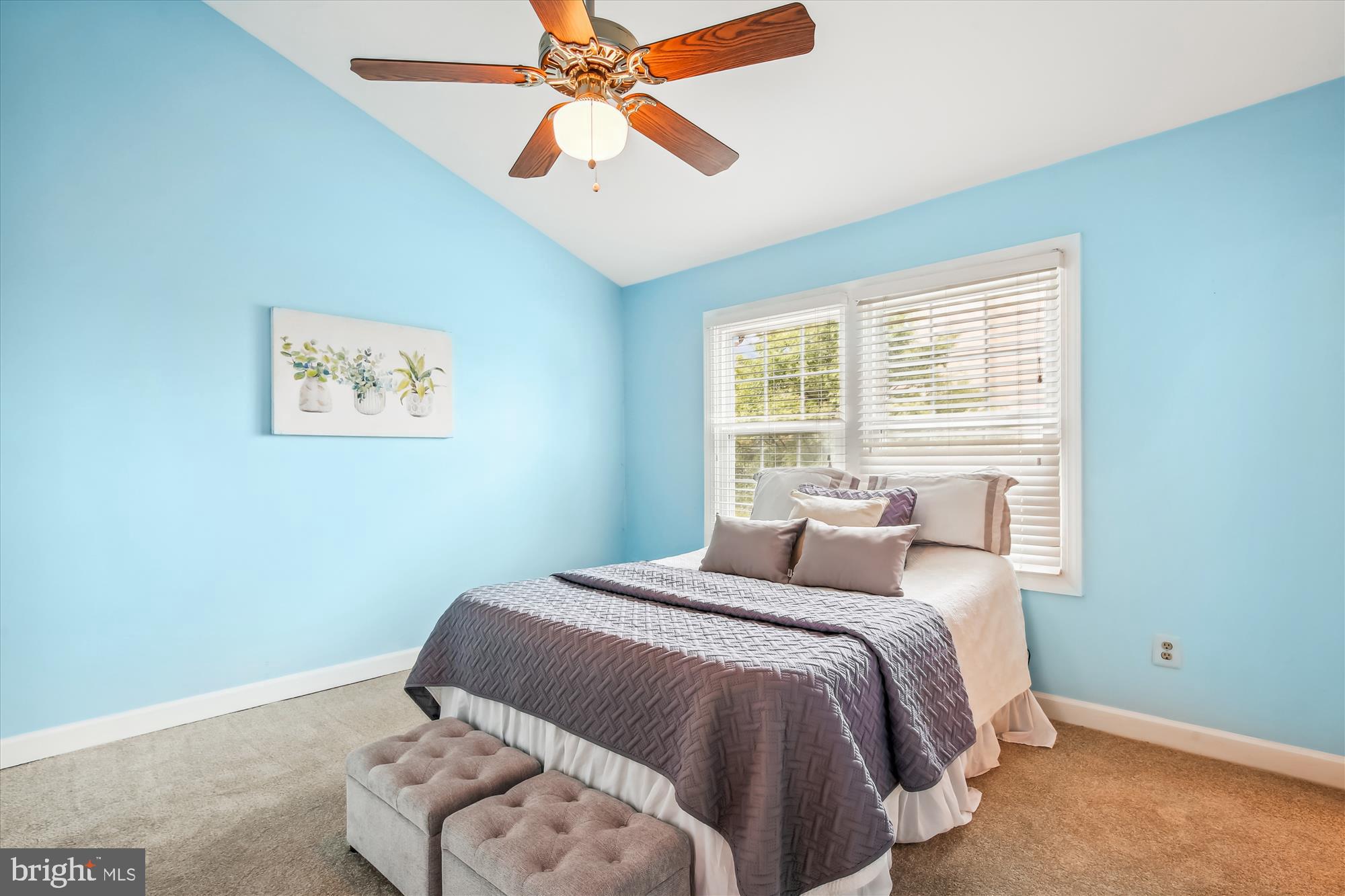 LINCOLNIA MEWS - Residential