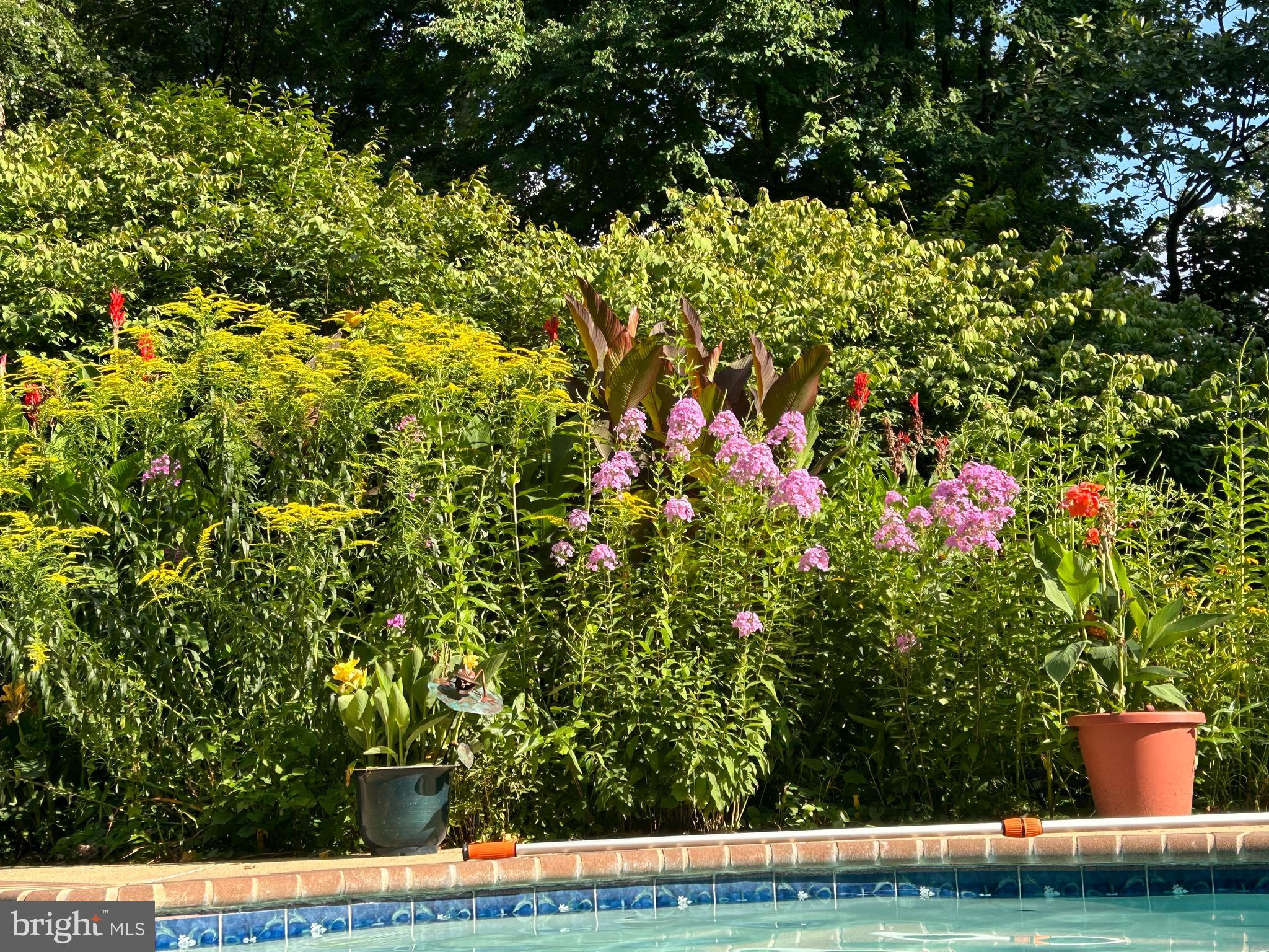 WYNNEWOOD - Residential