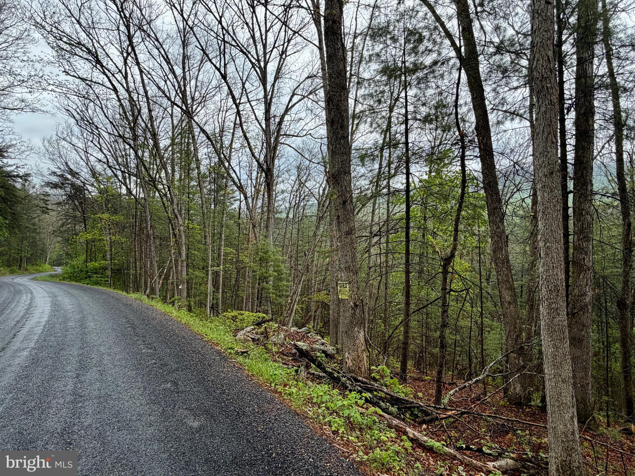 TROUT RUN FOREST - Land