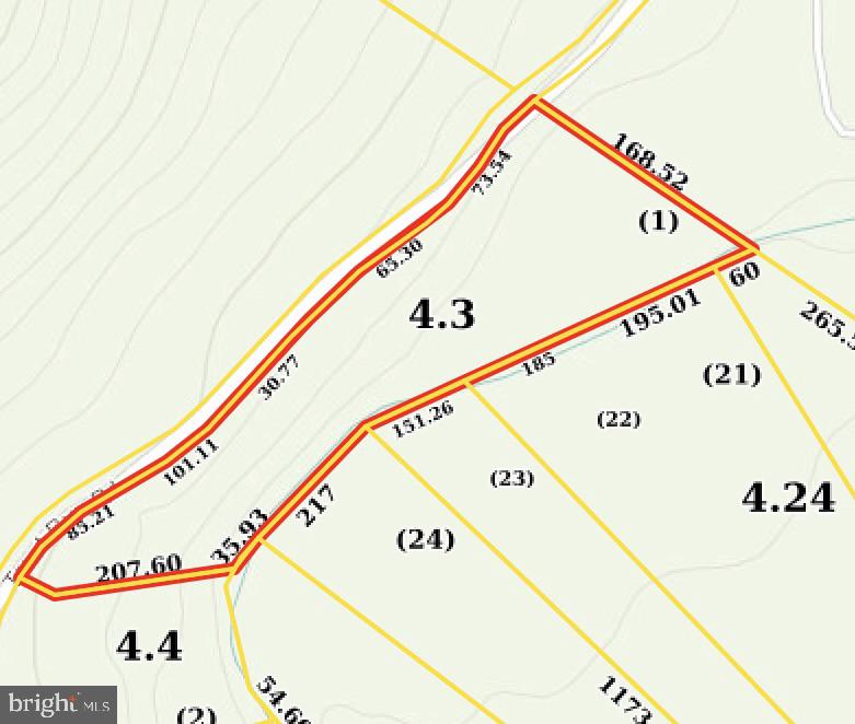 TROUT RUN FOREST - Land