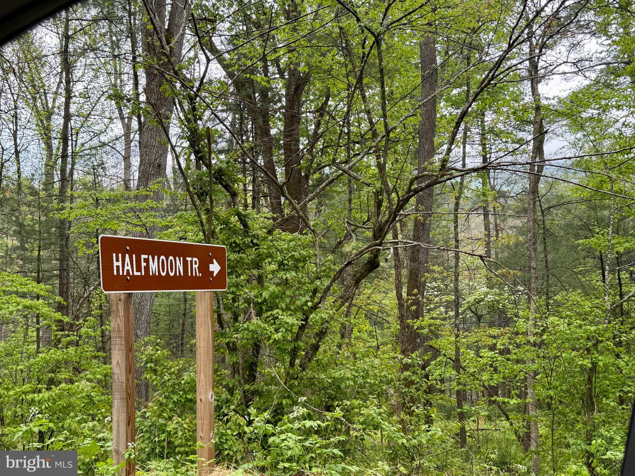TROUT RUN FOREST - Land