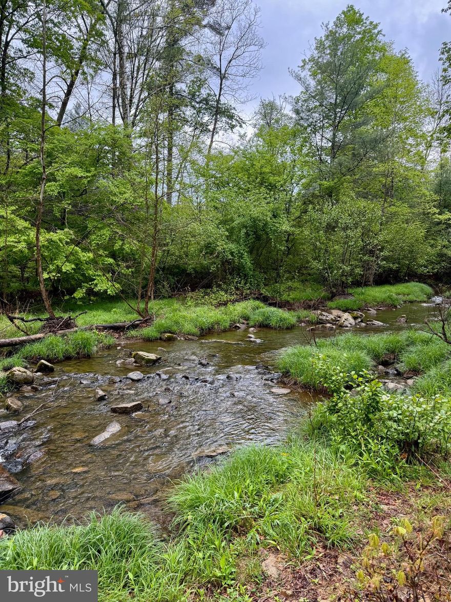 Tucked away in the beauty of Wild and Wonderful West Virginia, this is your chance to own two peaceful parcels of land bordering the breathtaking George Washington National Forest. Imagine waking up to the soothing sounds of a creek gently winding through your property, surrounded by mountain air, towering trees, and the kind of quiet that feels hard to find these days. Conveniently located right off the scenic and well-maintained Trout Run Road, this special property offers both easy access and a true sense of escape.
Outdoor lovers will appreciate being just minutes from the iconic Big Schloss hiking area and within walking distance to the beloved Half Moon Trail, making adventure and unforgettable mountain views part of everyday life. Whether you envision a cozy cabin retreat, a full-time mountain home, or simply a peaceful getaway to reconnect with nature, the topography offers an ideal setting for building. Even better, the sought-after views of Big Schloss create a backdrop that many dream about but few ever have the opportunity to call their own. These two parcels are part of the well-known Trout Run Forest Development, offering the benefit of community while maintaining added privacy and flexibility. Since these lots do not utilize the HOA-maintained roads, owners enjoy a reduced annual HOA fee of just $200 total per year for both lots—a rare bonus. This is one of those places that truly must be experienced in person to appreciate the calm, beauty, and magic of the setting. If you have been searching for a peaceful mountain escape with creek frontage, national forest access, and endless outdoor adventure at your doorstep, this could be the one. Schedule your showing today and come experience the serenity for yourself.