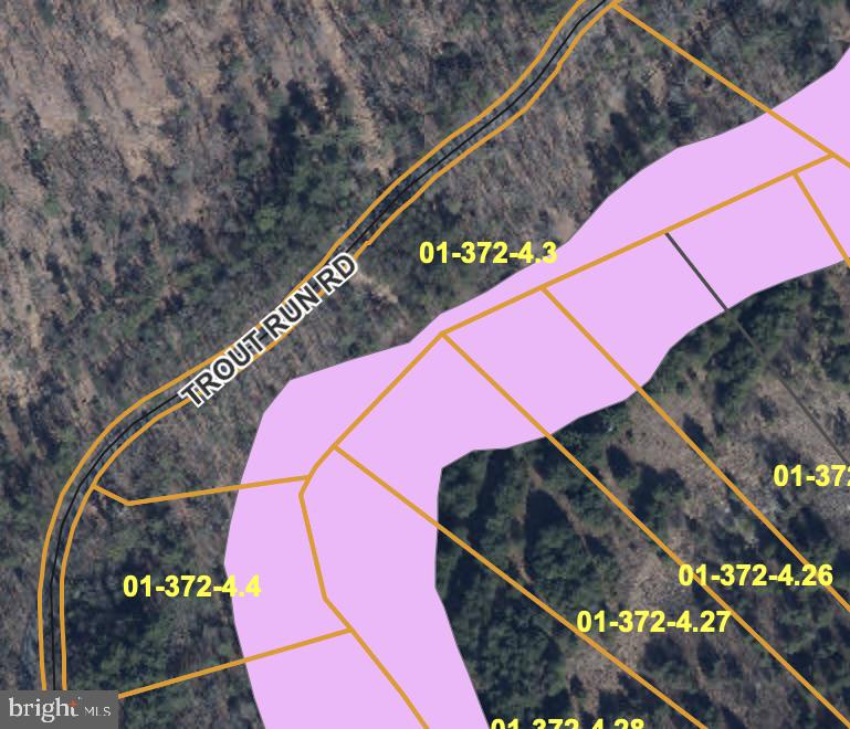 TROUT RUN FOREST - Land