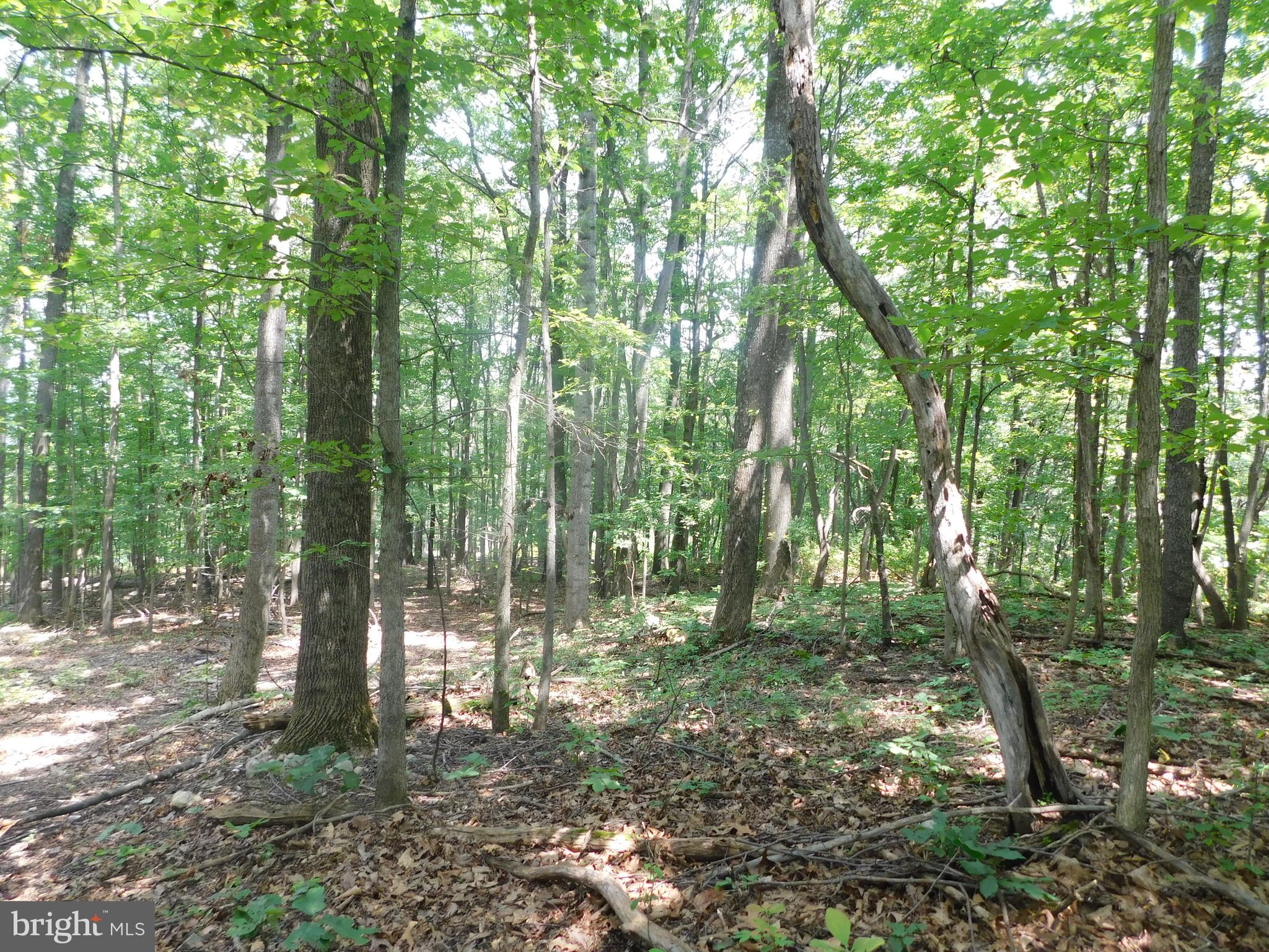 LARKIN RIDGE ESTATES - Land