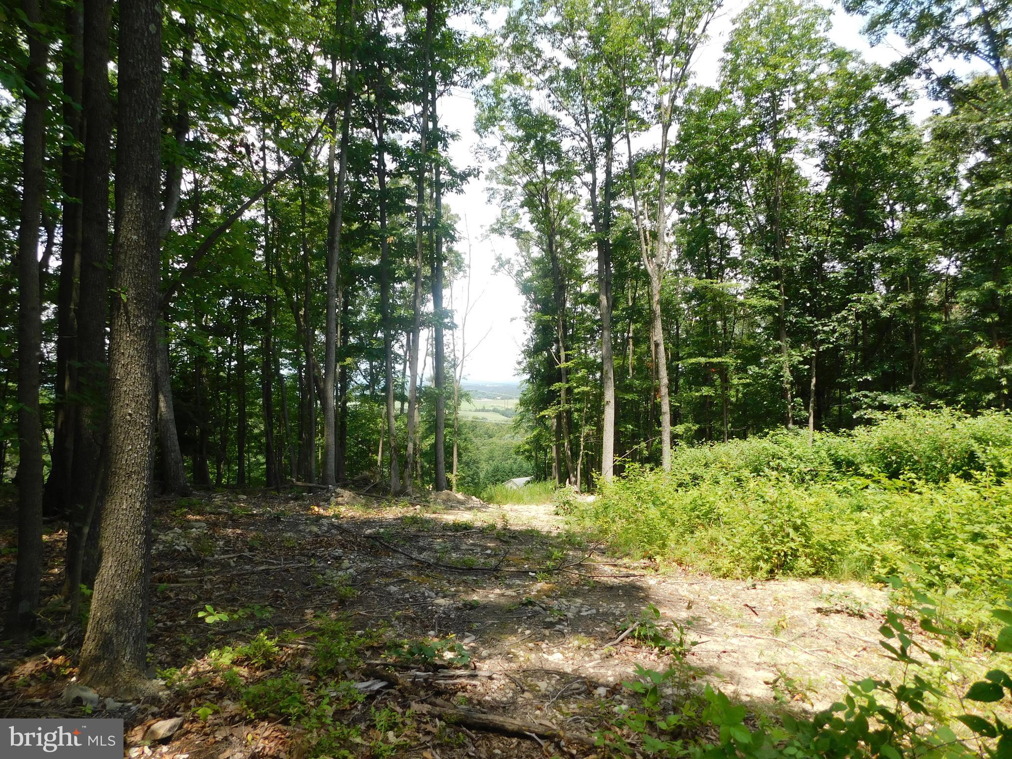 LARKIN RIDGE ESTATES - Land