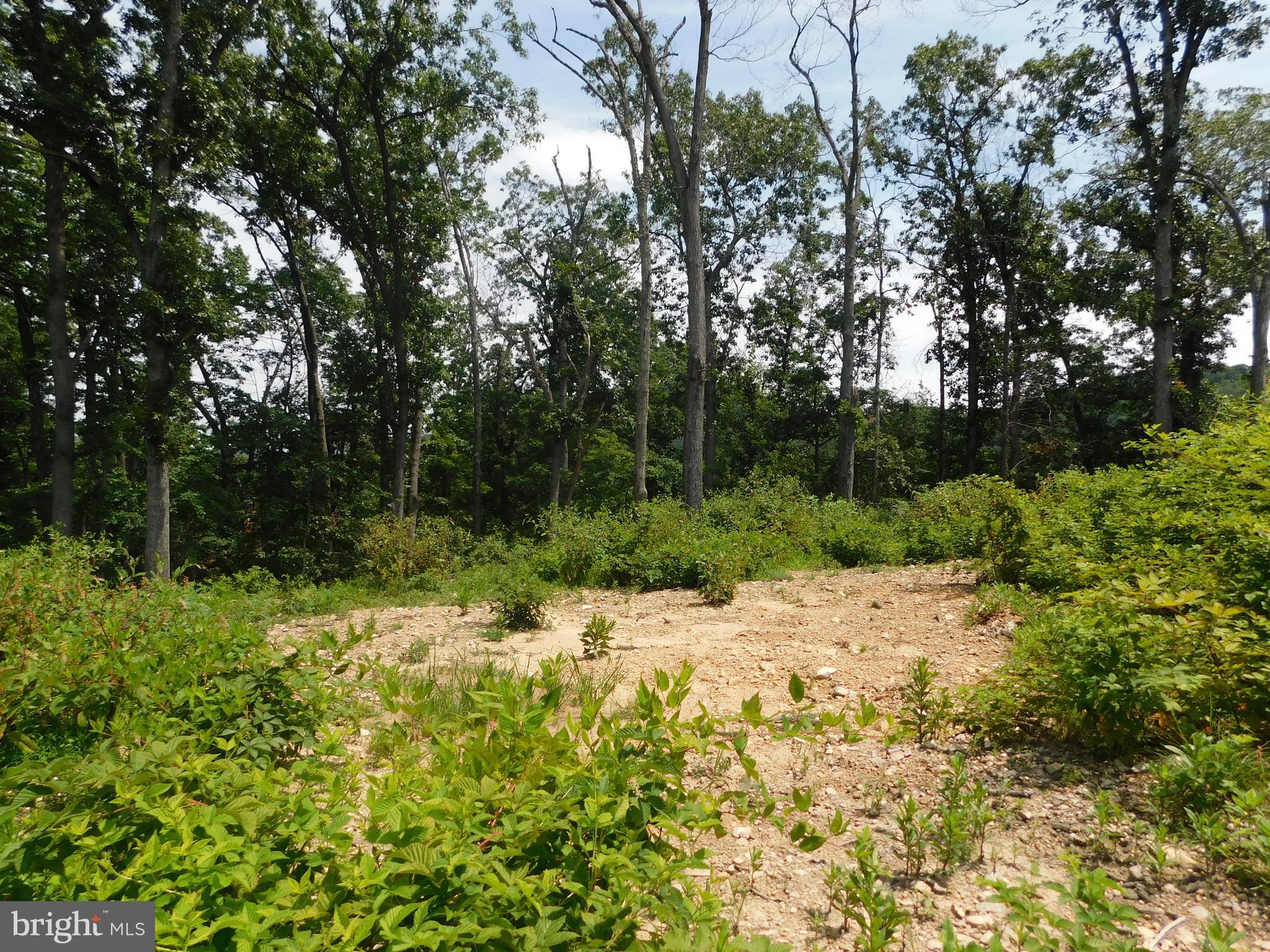 LARKIN RIDGE ESTATES - Land