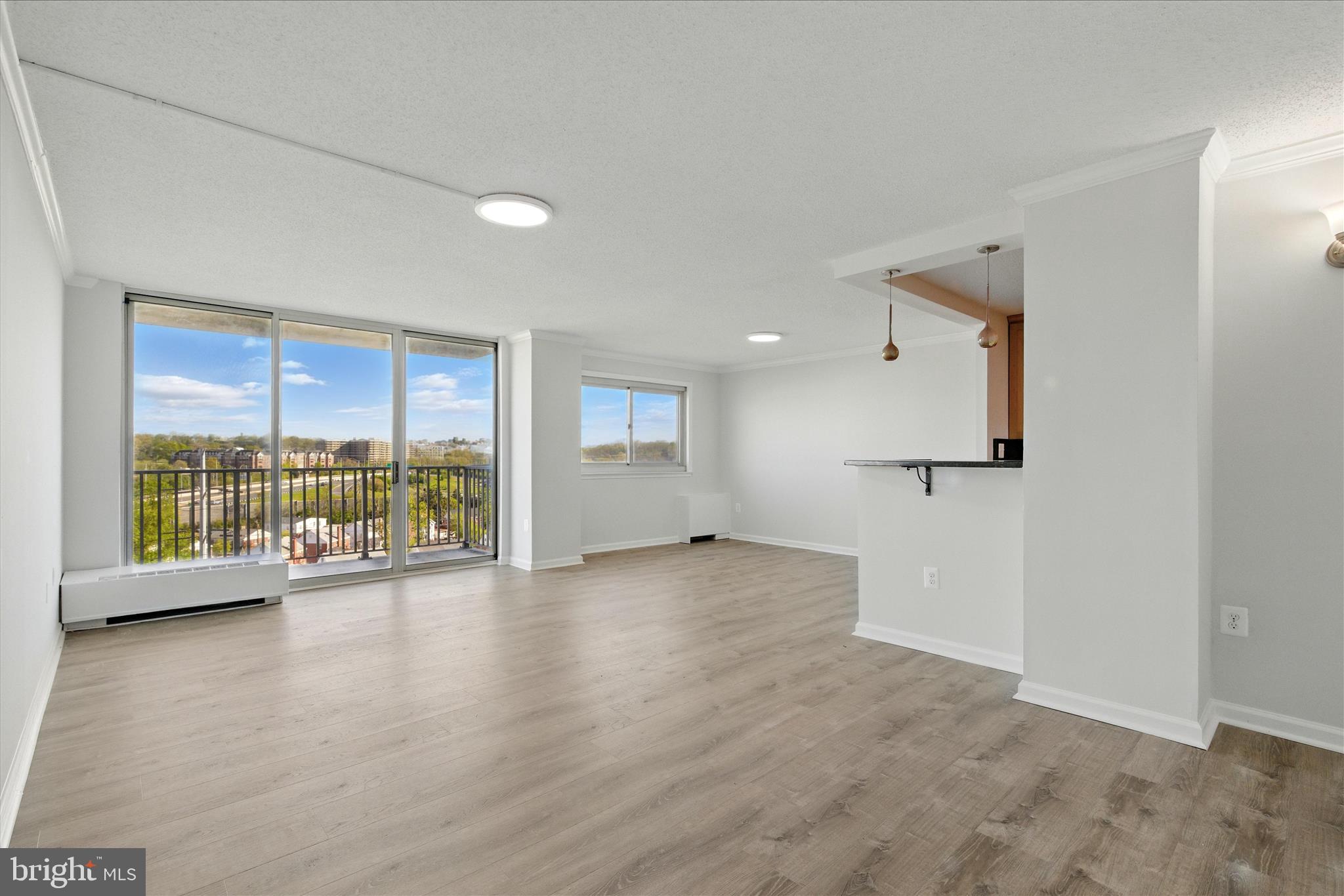 1225 MARTHA CUSTIS DRIVE 919