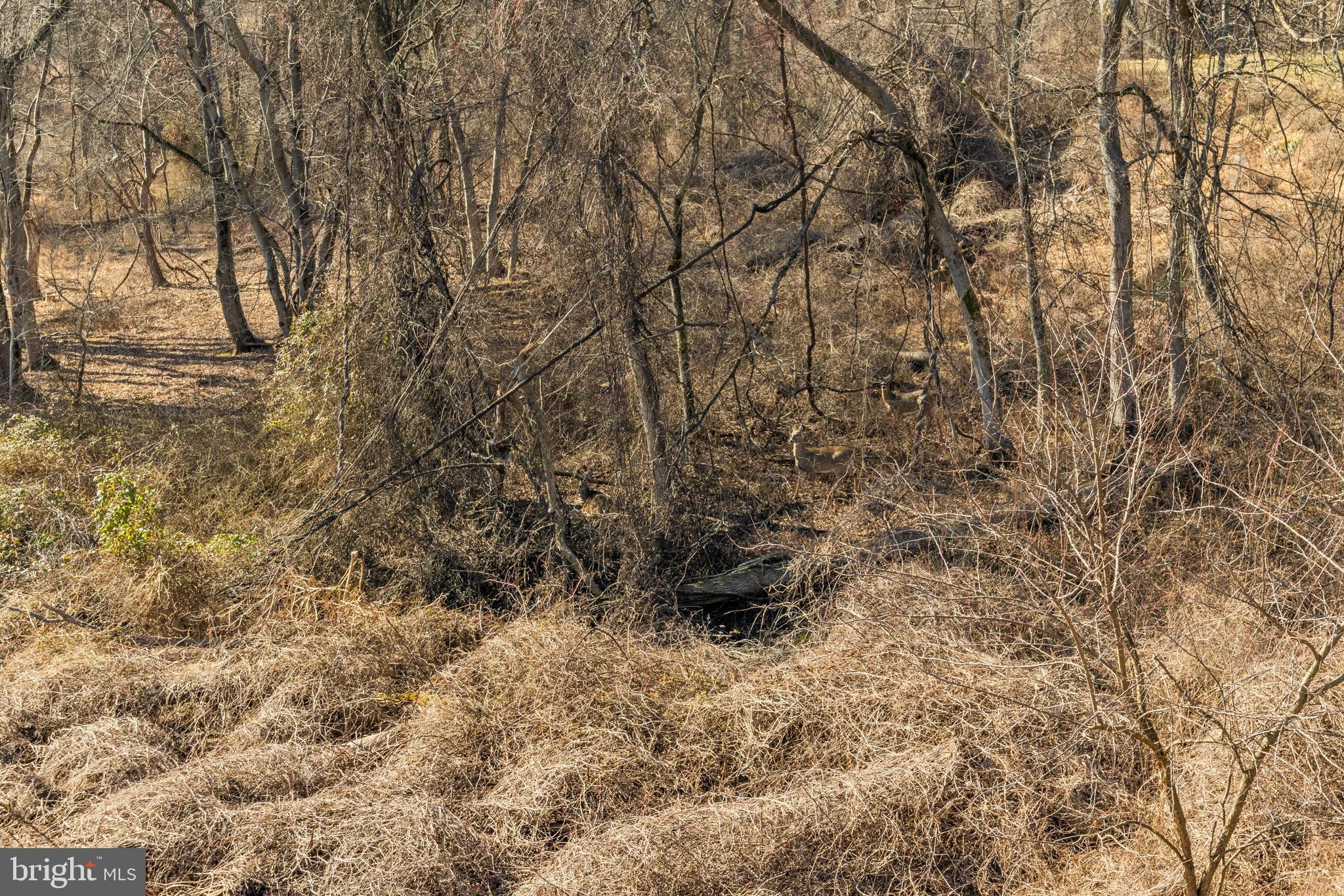 GROVEMONT - Residential