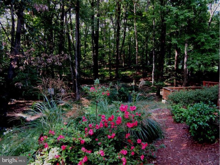 COMSTOCK - Residential Lease