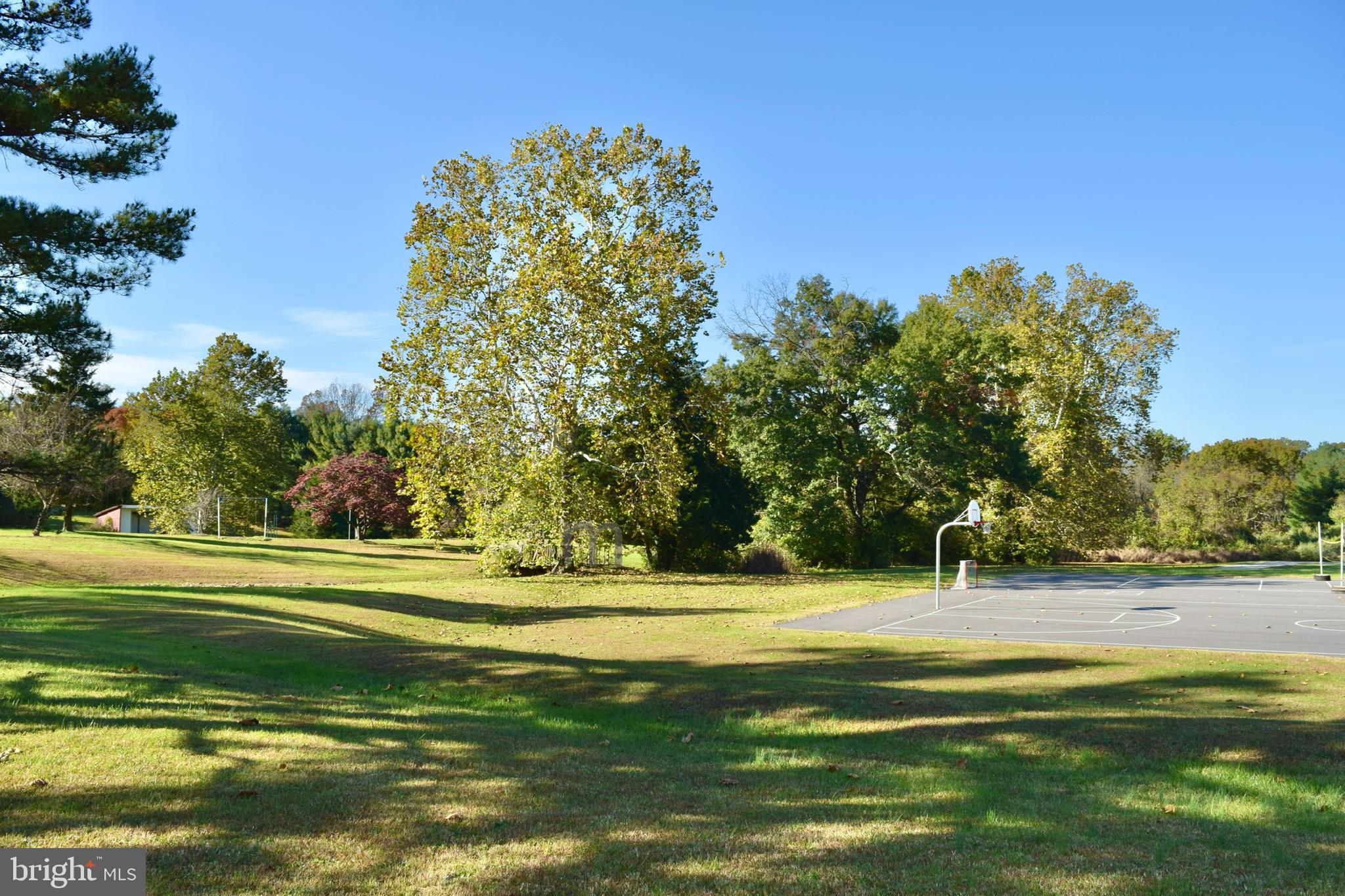 SHENANDOAH FARMS - Residential