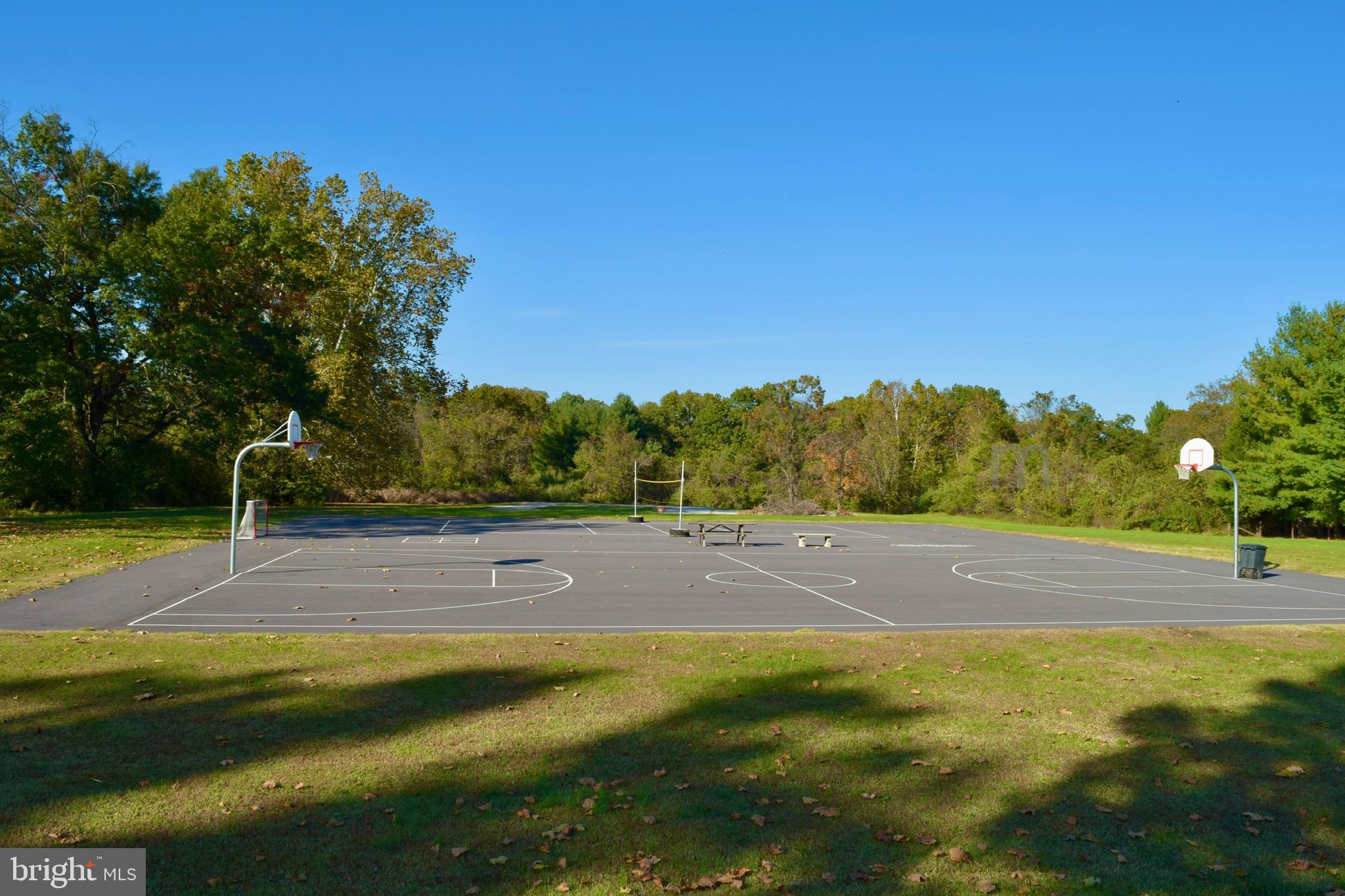 SHENANDOAH FARMS - Residential