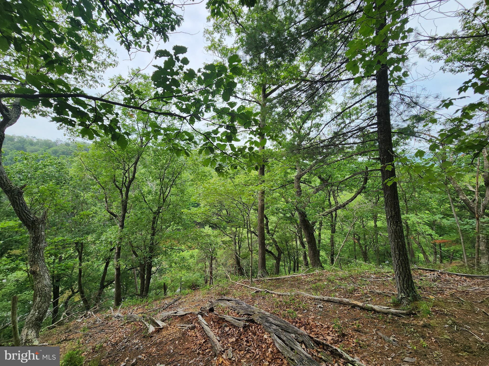 HARNEST HILLS - Land