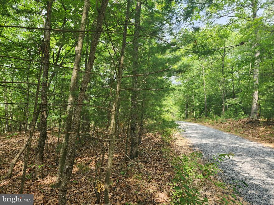 Wooded, sloped 4.27 acre lot located along the beautiful Cacapon River in Great Cacapon, WV just ready and waiting to be cleared.  Bring your imagination and building plans to this raw piece of land with potential for river and mountain views!