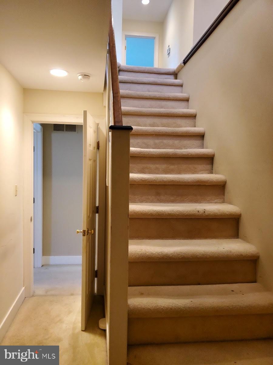 LEOPARD FARMS - Residential