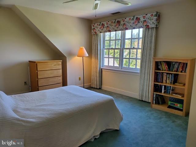 LEOPARD FARMS - Residential