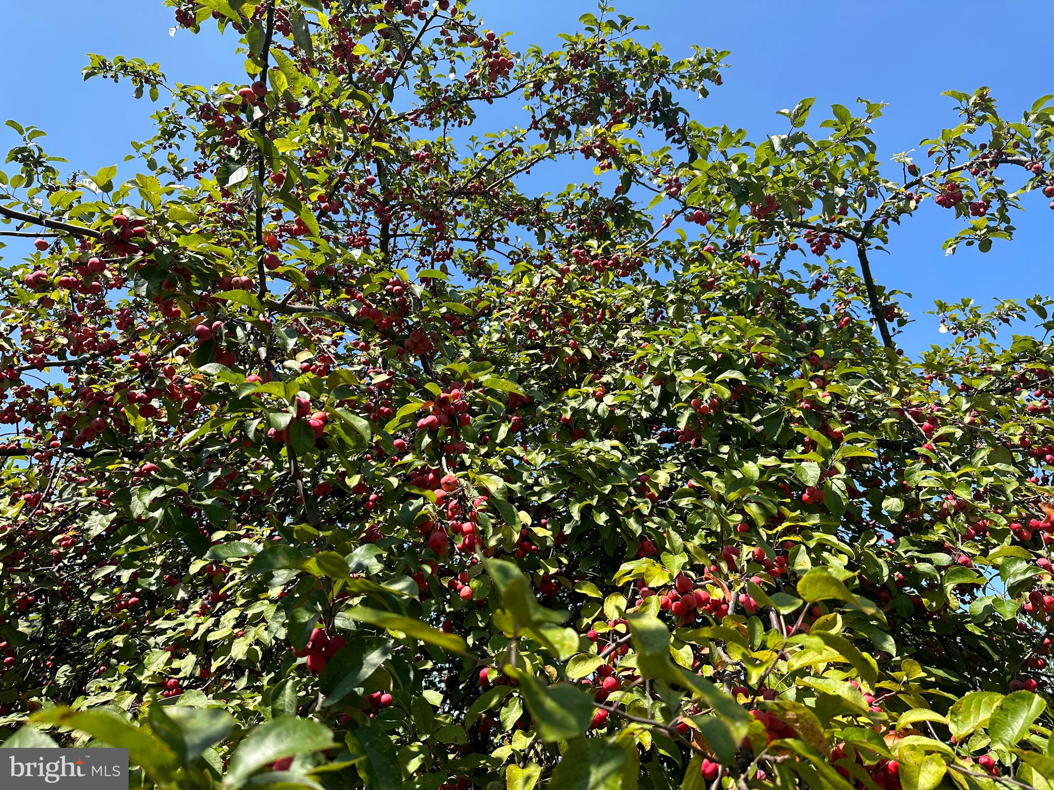 OLD SUNRISE SUMMIT - Residential