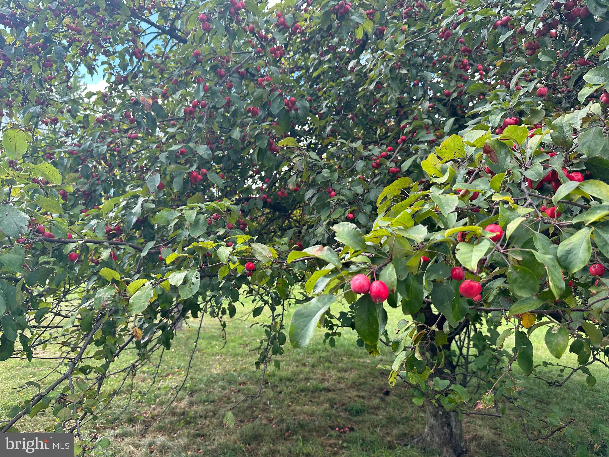 OLD SUNRISE SUMMIT - Residential