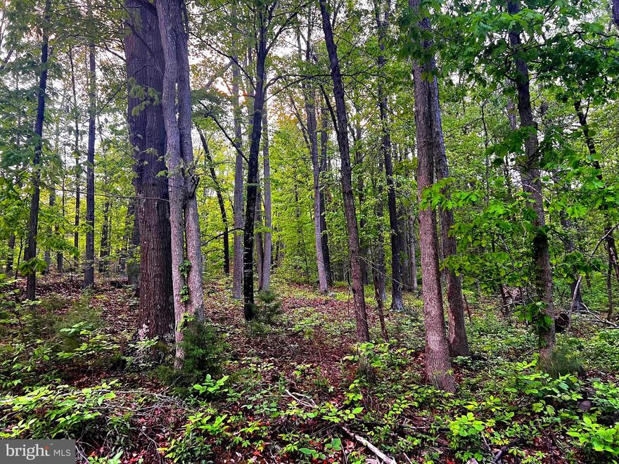 A beautifully wooded rural tract  with great building site for cabin or residential retreat! Only fourteen miles south of Moorefield, it's an easy commute into town. Natural gas, electric, fiber optic internet and telephone available.  Unrestricted,  only deed restriction is  no mobile homes,, but you can build or camp or do what you want!