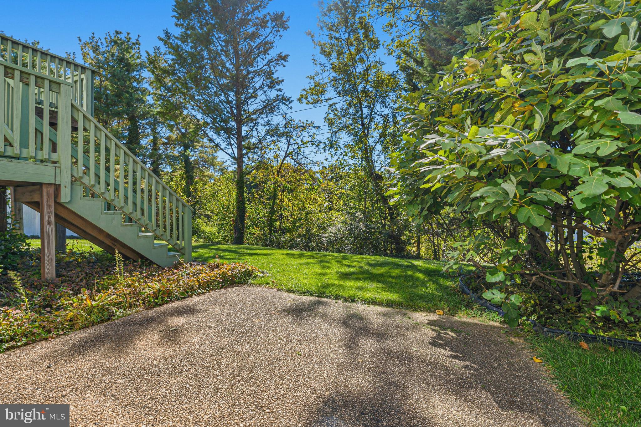 BLAKELY SPRINGS - Residential