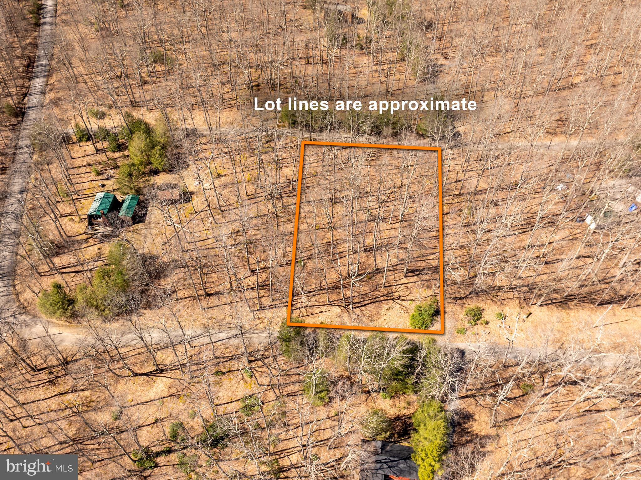 YOUGHIOUGHENY MOUNTAIN - Land