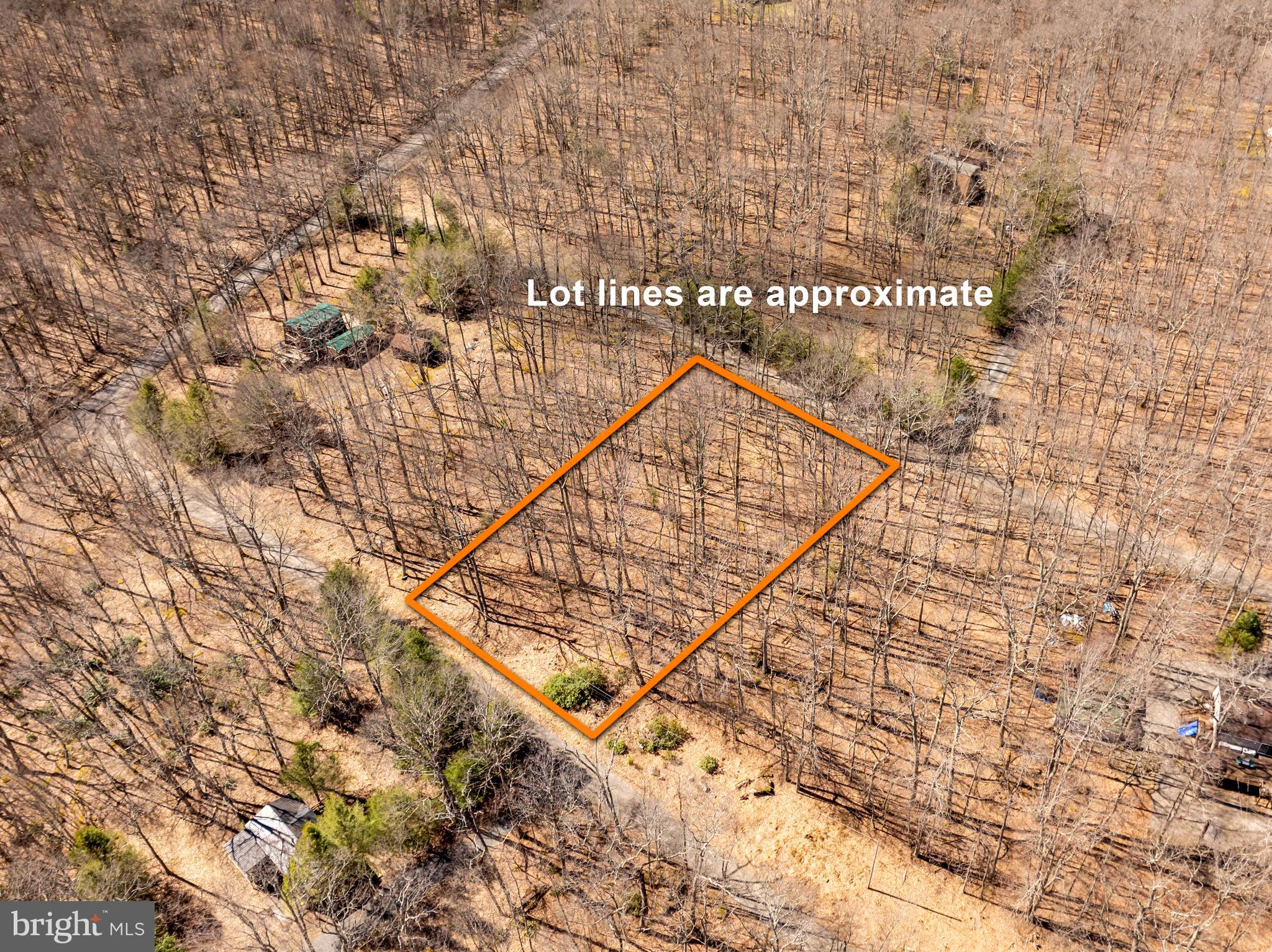 YOUGHIOUGHENY MOUNTAIN - Land