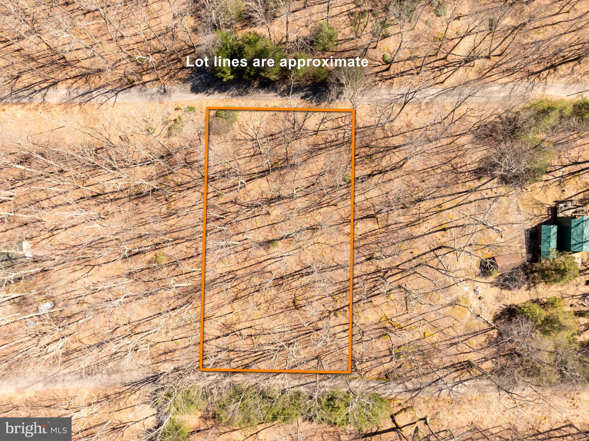 YOUGHIOUGHENY MOUNTAIN - Land