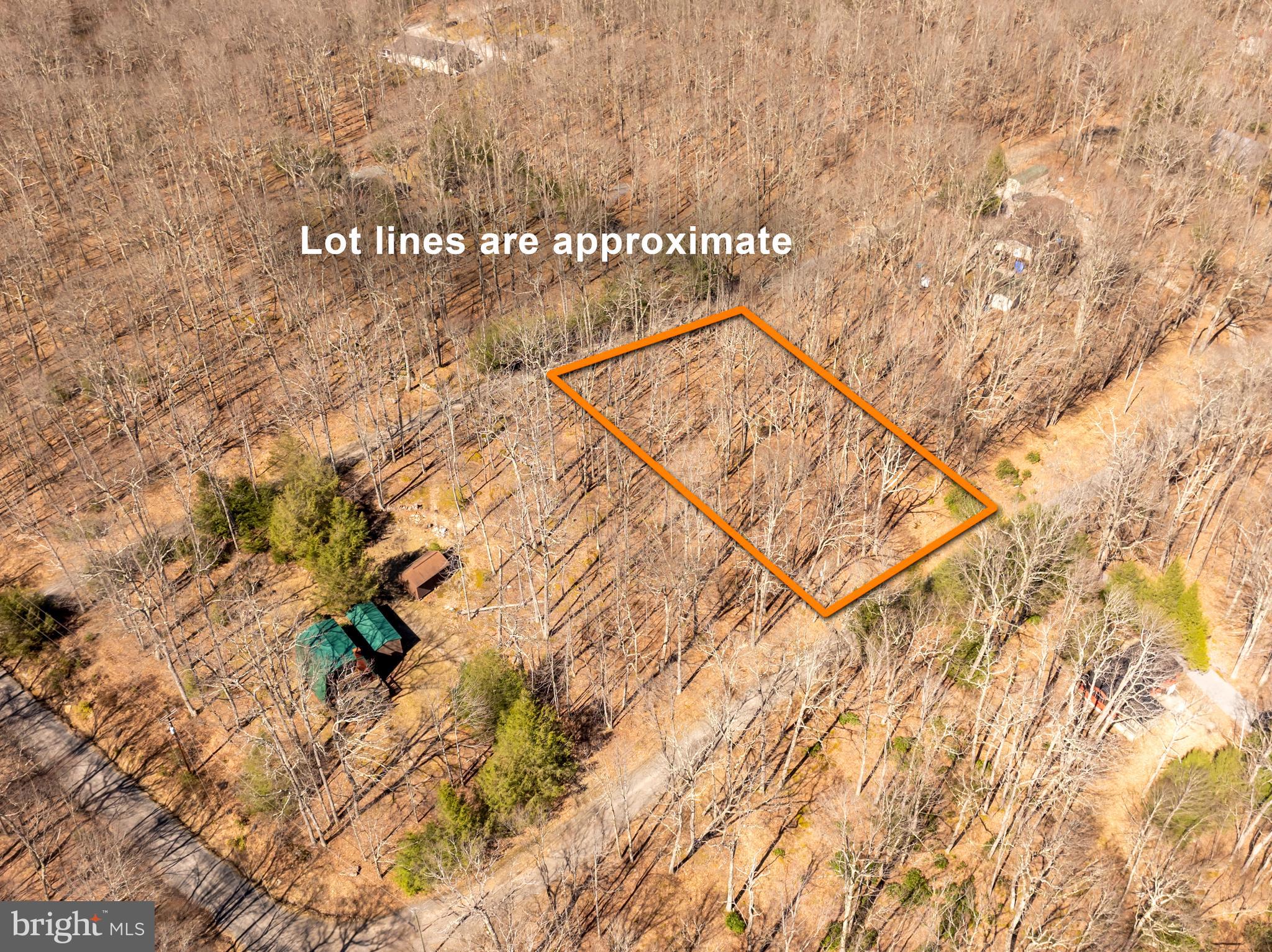 YOUGHIOUGHENY MOUNTAIN - Land