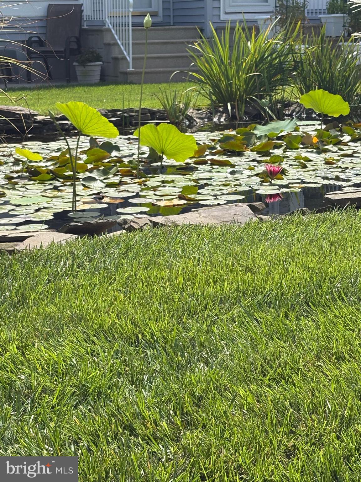 310 BLUE HERON DRIVE 3102