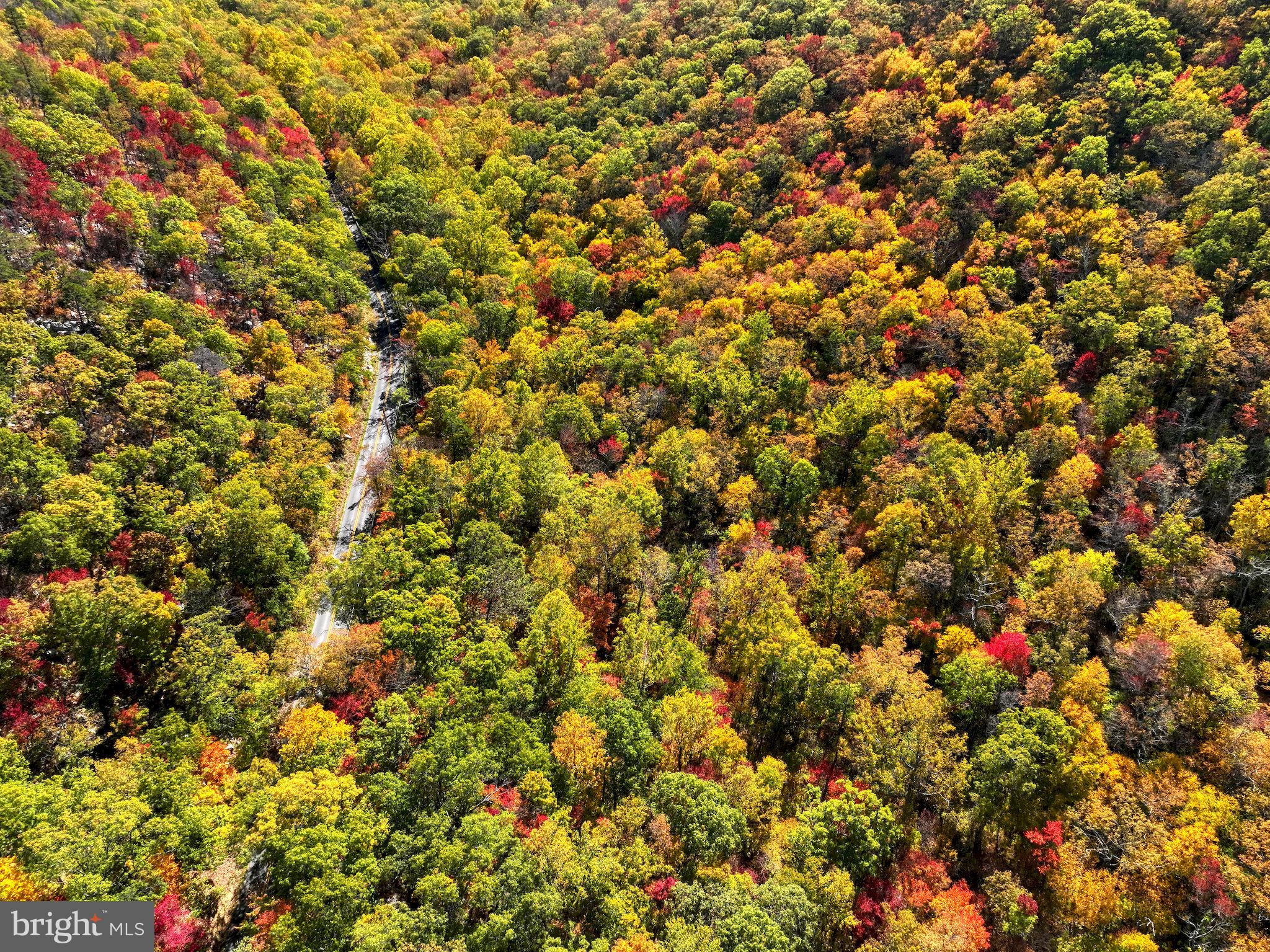 BRYCE MOUNTAIN - Residential