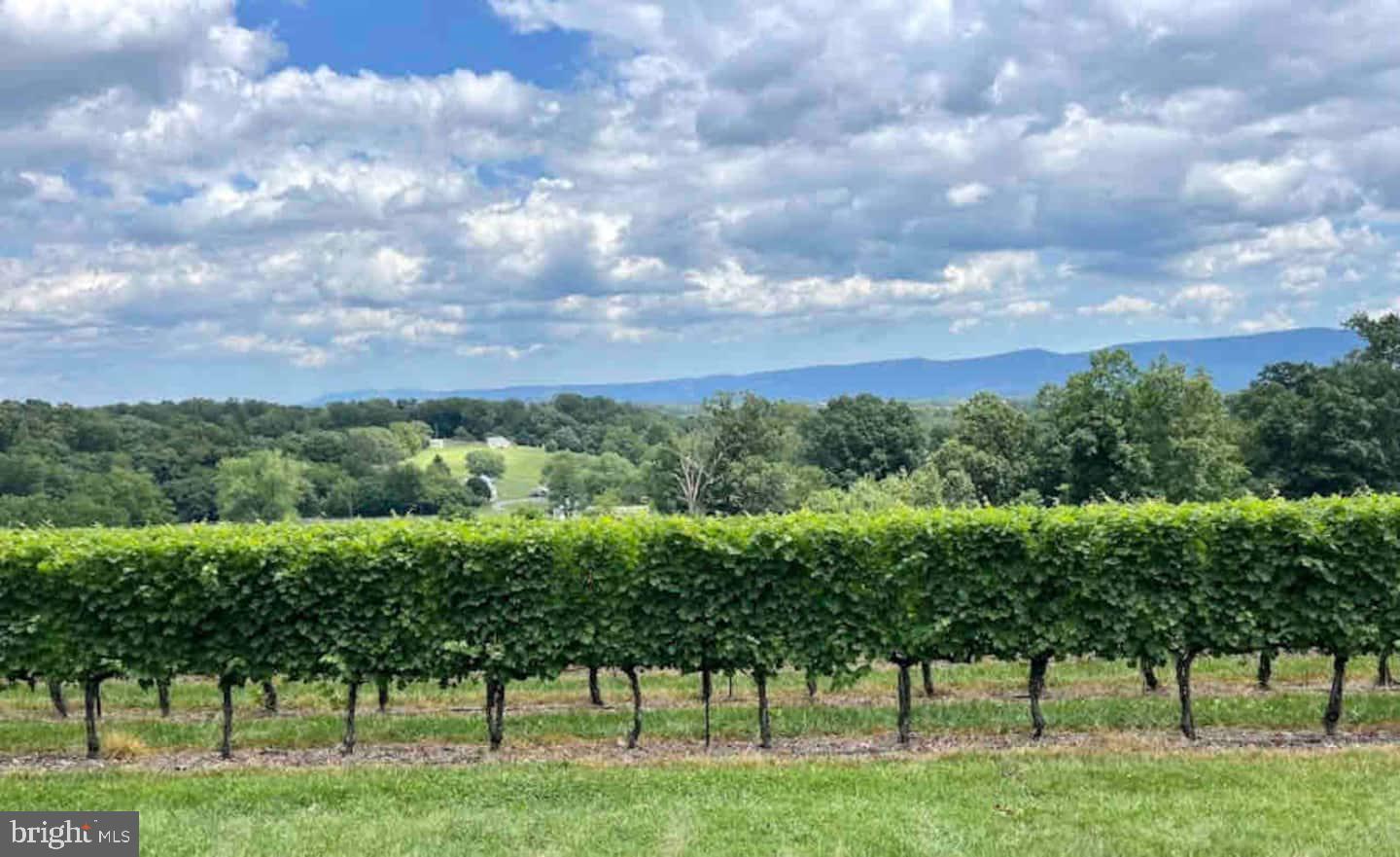 BRYCE MOUNTAIN - Residential