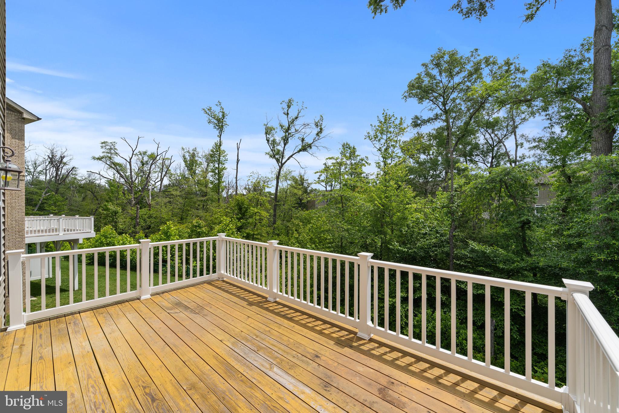 HAMILTON PARK - Residential