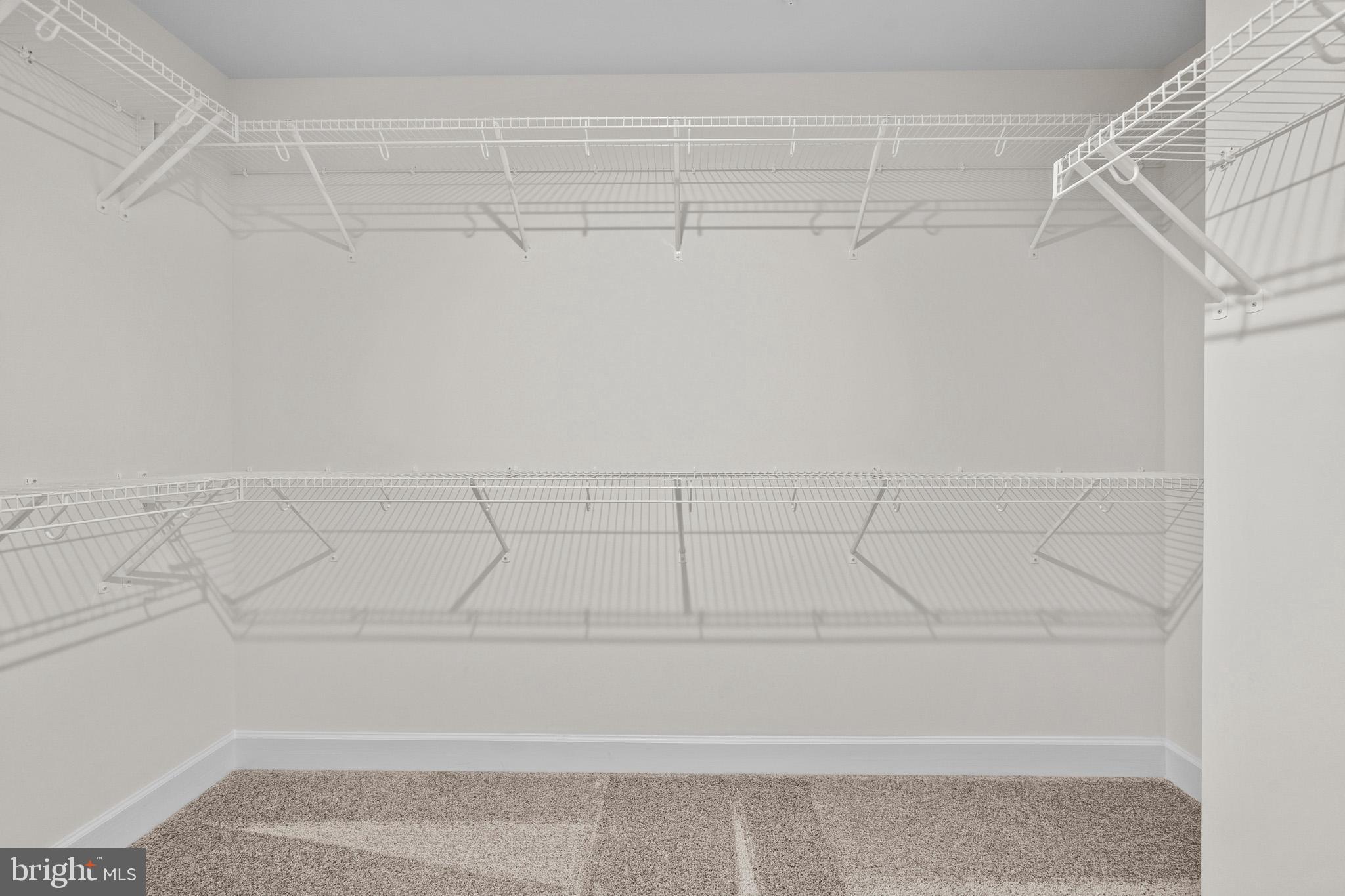 HAMILTON PARK - Residential