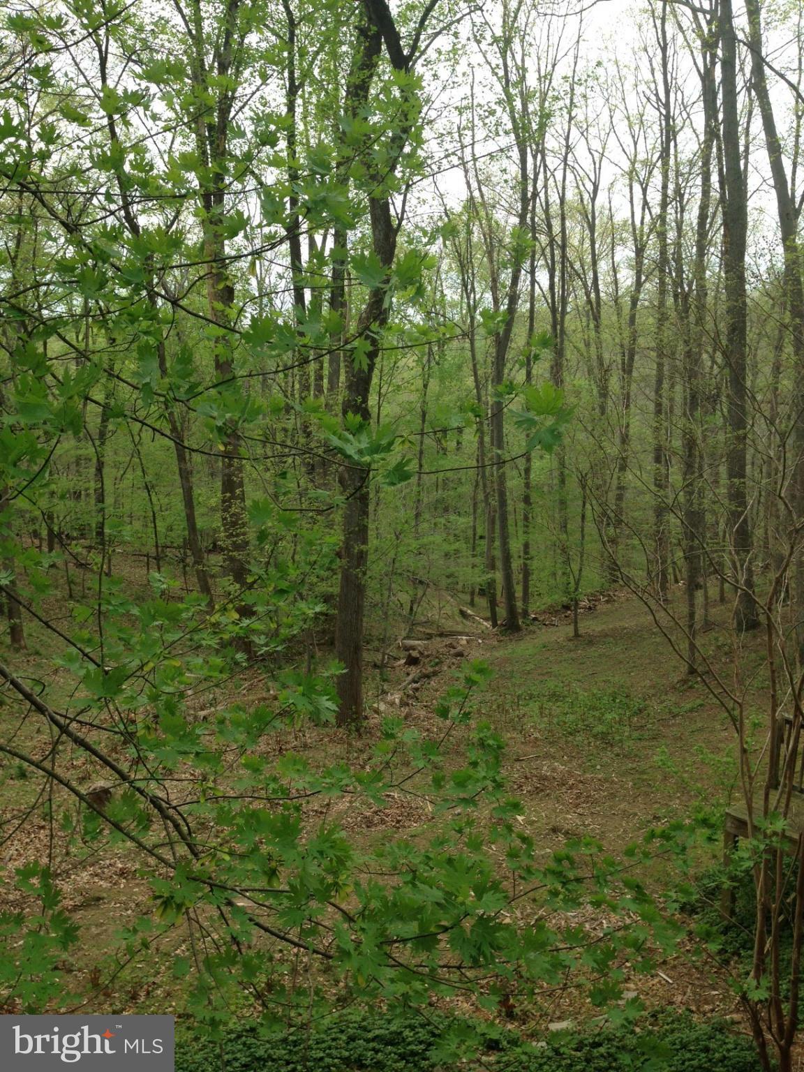 SADDLE RIDGE - Residential