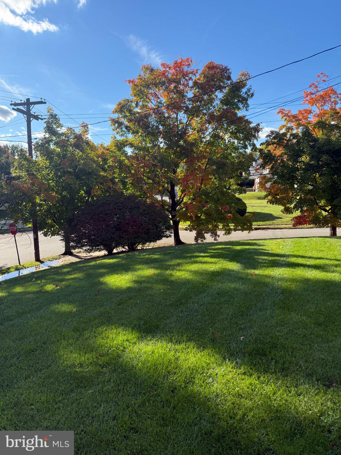 2821 VILLAGE GREEN LANE