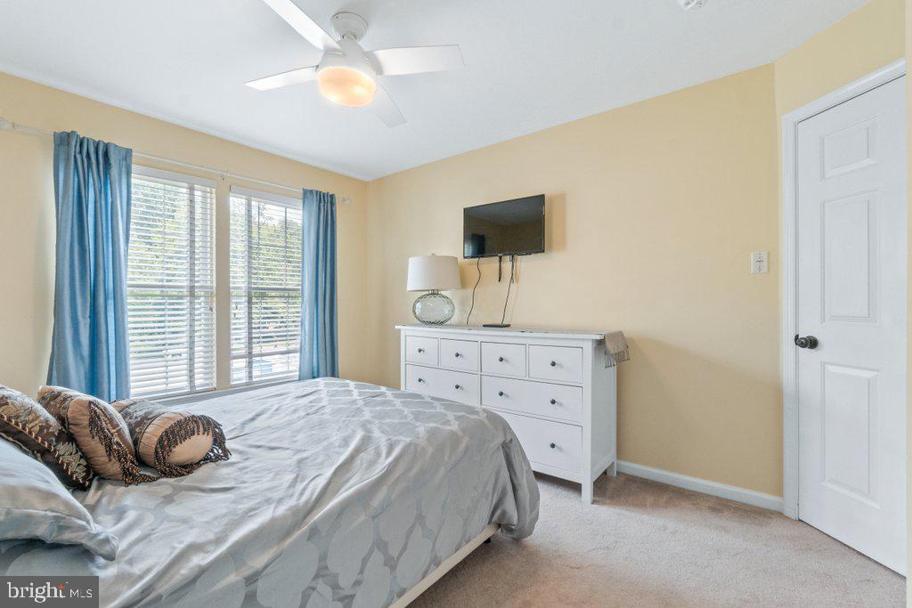 HOLTER - Residential